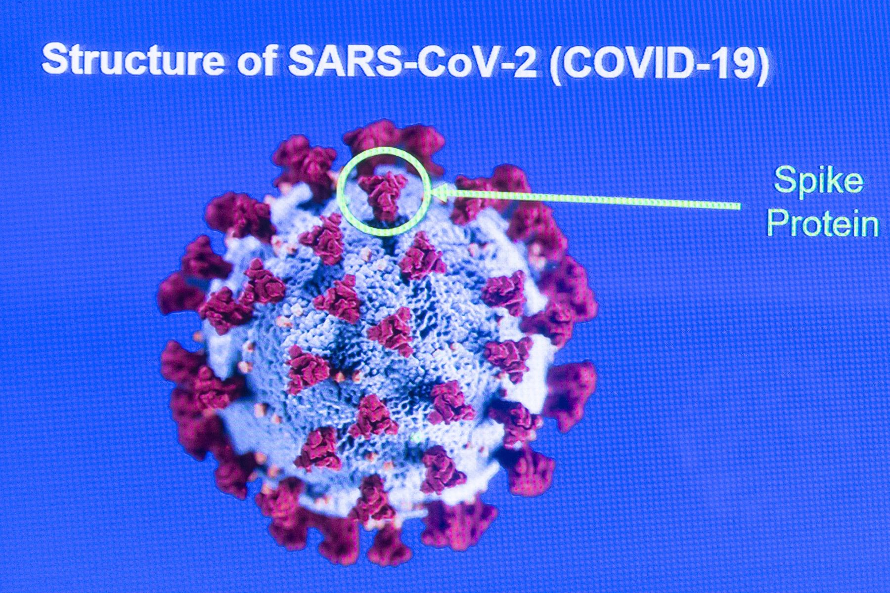 El jefe del INS, César Cabezas, explicó que desde el inicio de la pandemia expertos de la institución realizan el secuenciamiento y evaluación del genoma de 284 virus SARS-CoV-2. Foto: AFP