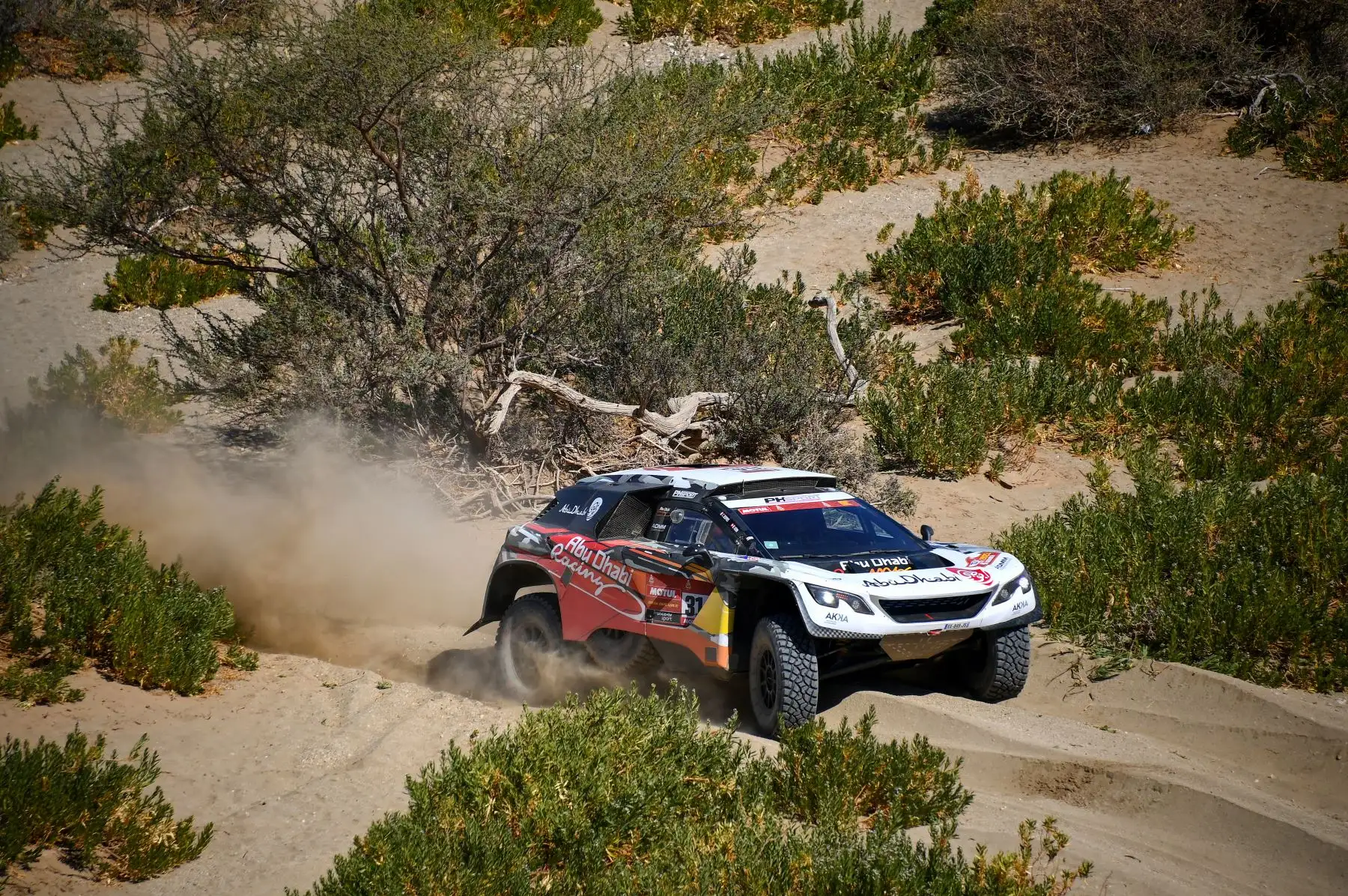 El piloto francés de Peugeot, Cyril Desprez, y su copiloto, el explorador y aventurero sudafricano-suizo Mike Horn, compiten durante la Etapa 1 del Rally Dakar 2021 entre Jeddah y Bisha en Arabia Saudita.
Foto: AFP