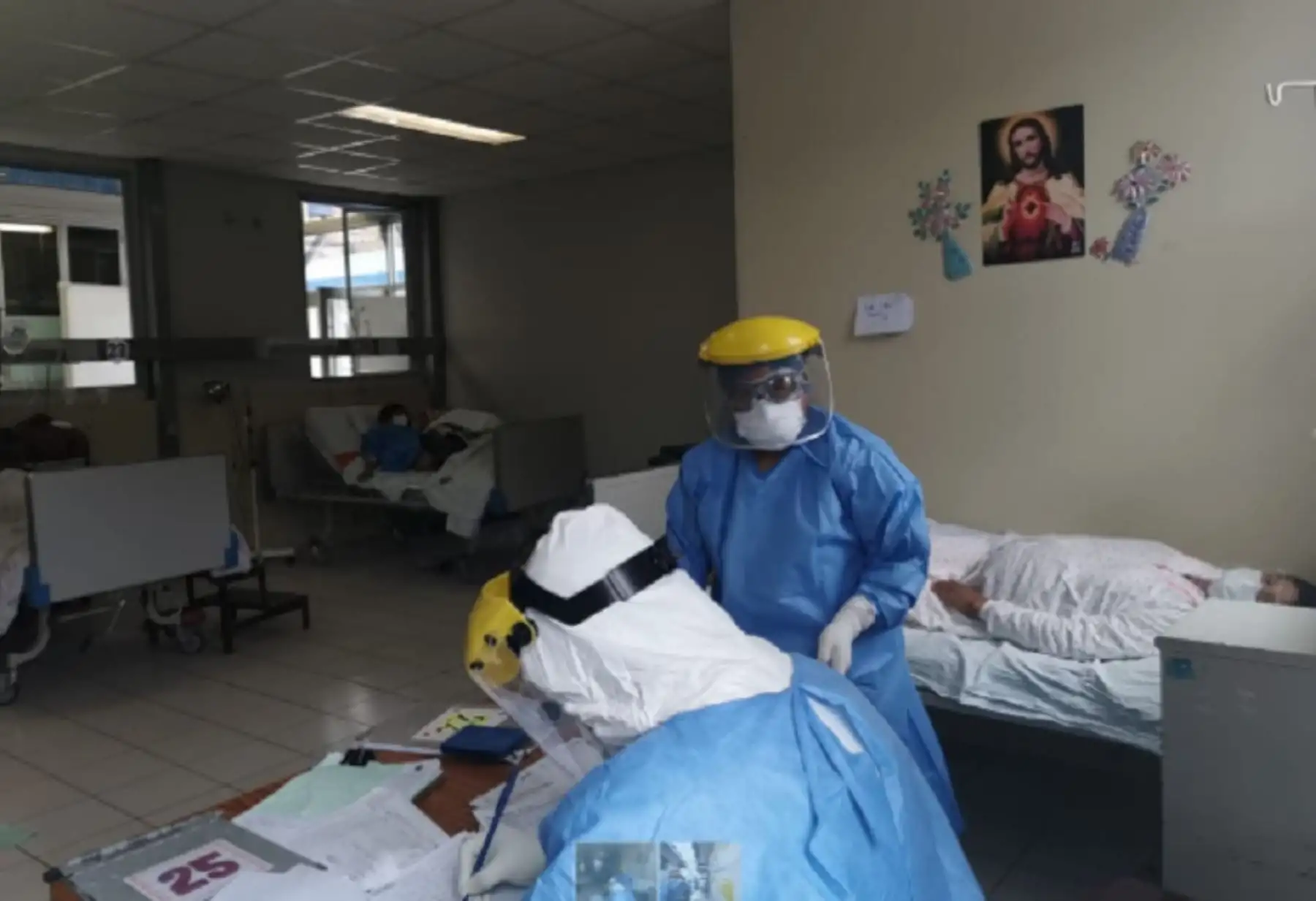 Minsa intensificará la vigilancia epidemiológica para prevenir casos de influenza aviar en humanos. Foto: ANDINA/difusión.