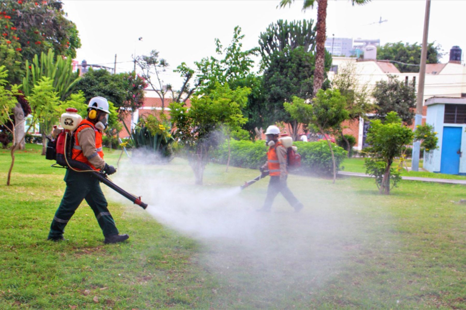 de Lima elimina plagas en parques, jardines y bermas del Cercado Noticias | Agencia Peruana de Noticias