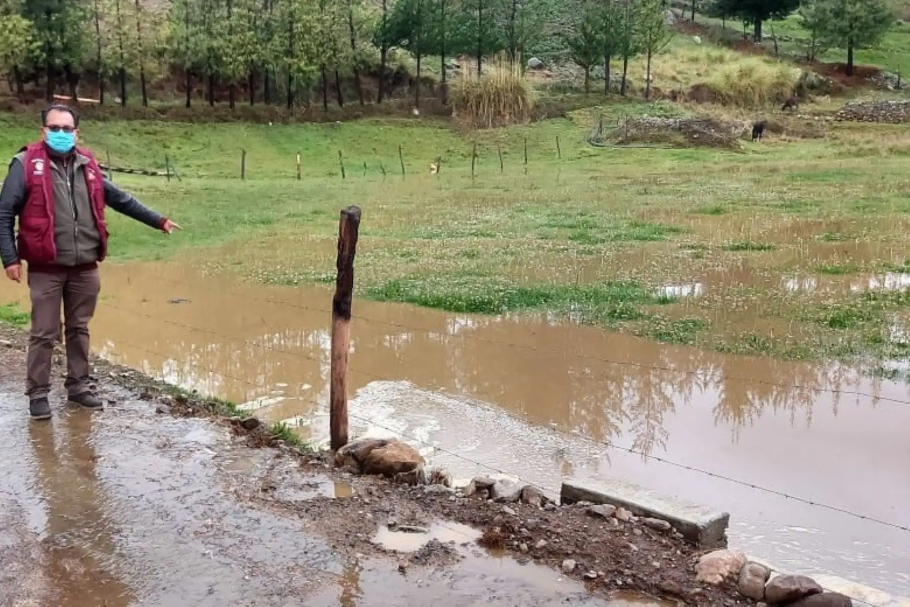 Foto: ANDINA/Difusión.