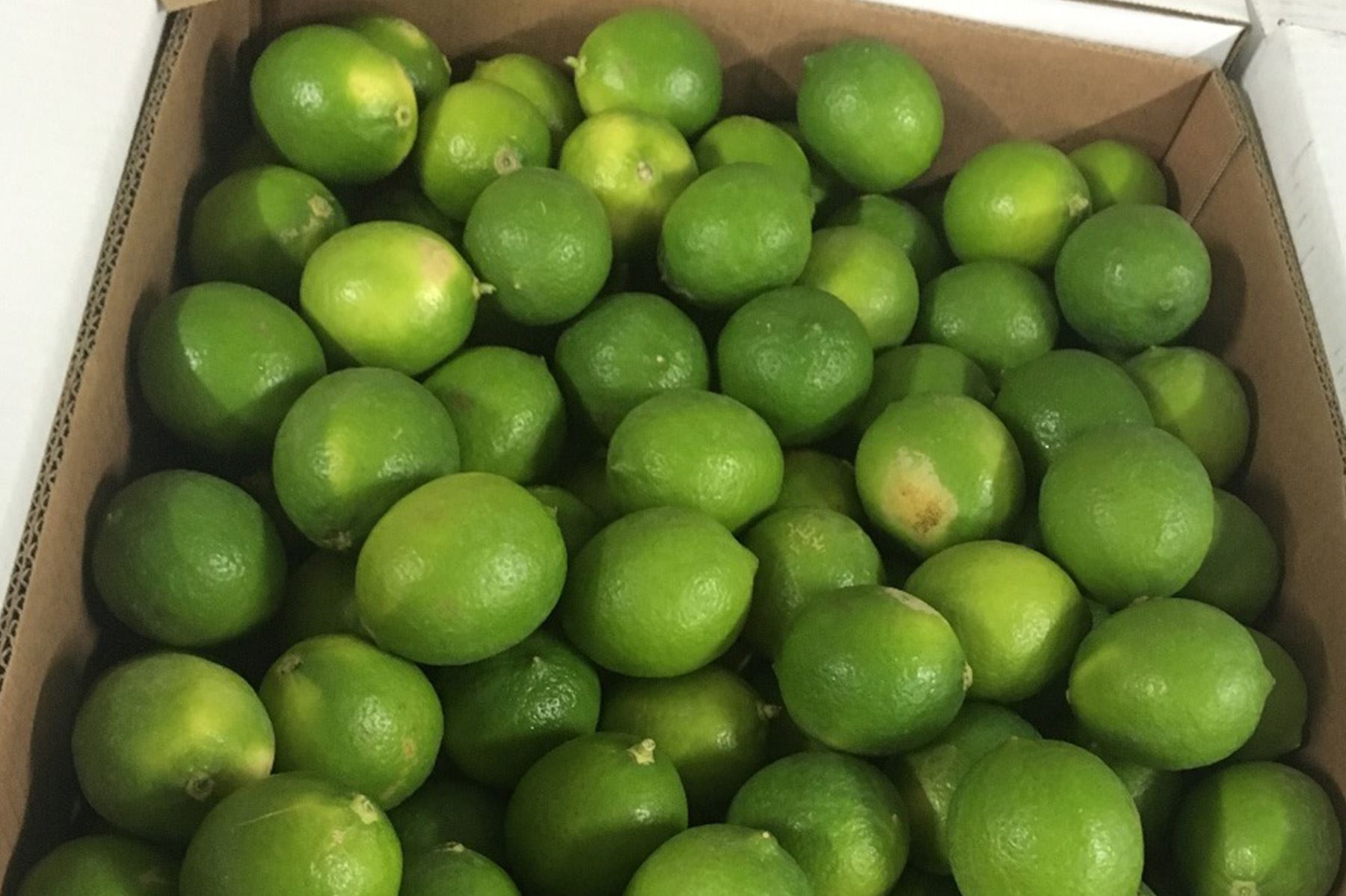 Investigadores de la Universidad Nacional Agraria La Molina elaborarán un recubrimiento hecho a base de residuos de mango, lúcuma, uva, palta y cacao, que se aplicará sobre los limones y mandarinas.
