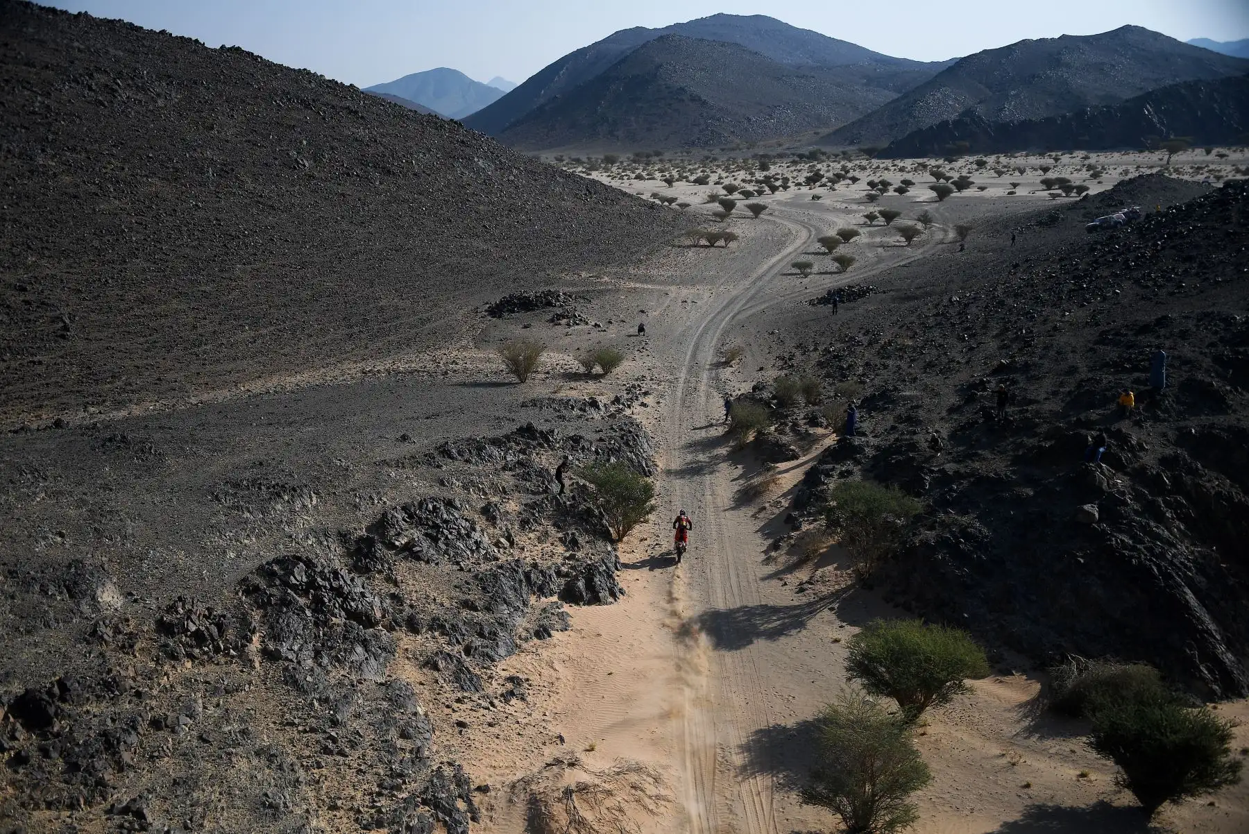 El motociclista  australiano Toby Price impulsa su KTM durante la etapa 4 del Rally Dakar 2021 entre Wadi Ad-Dawasir y la capital de Arabia Saudita.Foto: AFP