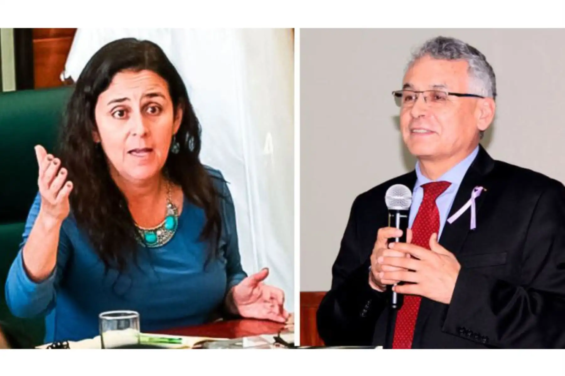 La exministra de Salud Patricia García y el médico salubrista Ernesto Gozzer calificaron de muy buena noticia el anuncio, pues abre una real posibilidad de empezar a vacunar a la población en los próximos meses. ANDINA/DOP