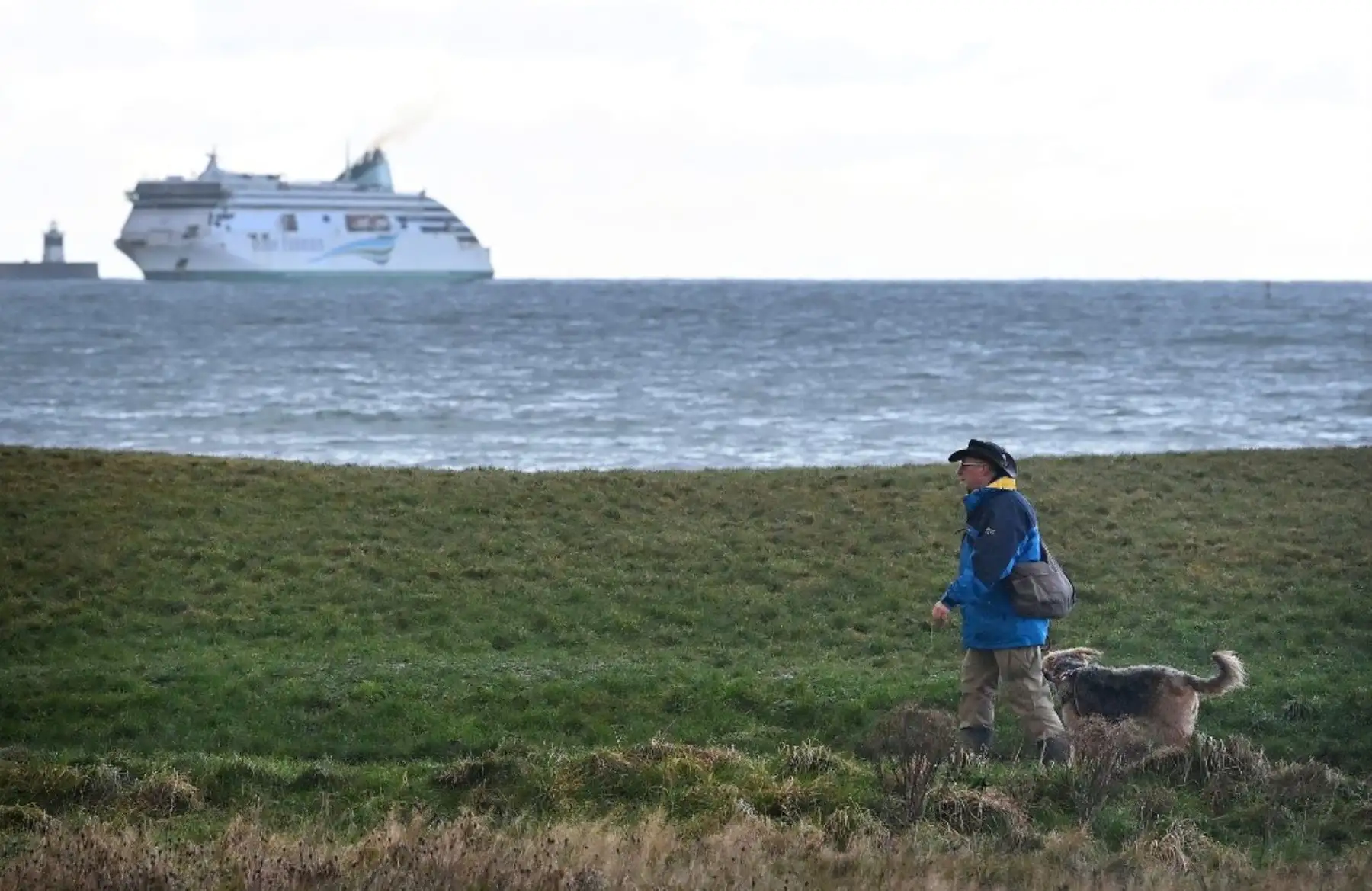 El ferry ro-ro de Irish Ferries Ulysses llega desde Irlanda al puerto de Holyhead en Anglesey, al norte de Gales. Foto: AFP