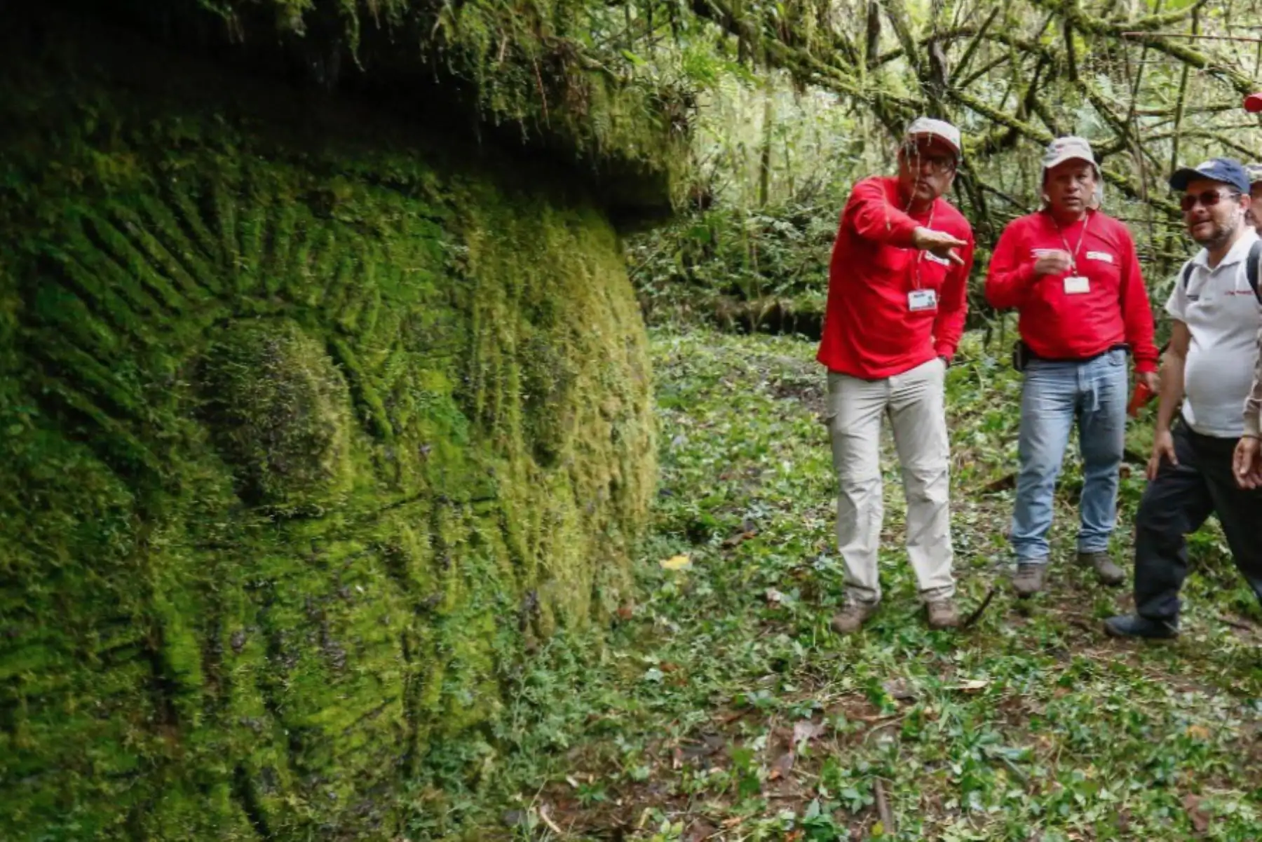El Gran Pajatén como parte de las acciones para ponerlo en valor y convertirlo en un nuevo atractivo turístico del Perú.
Foto:ANDINA/MINCETUR