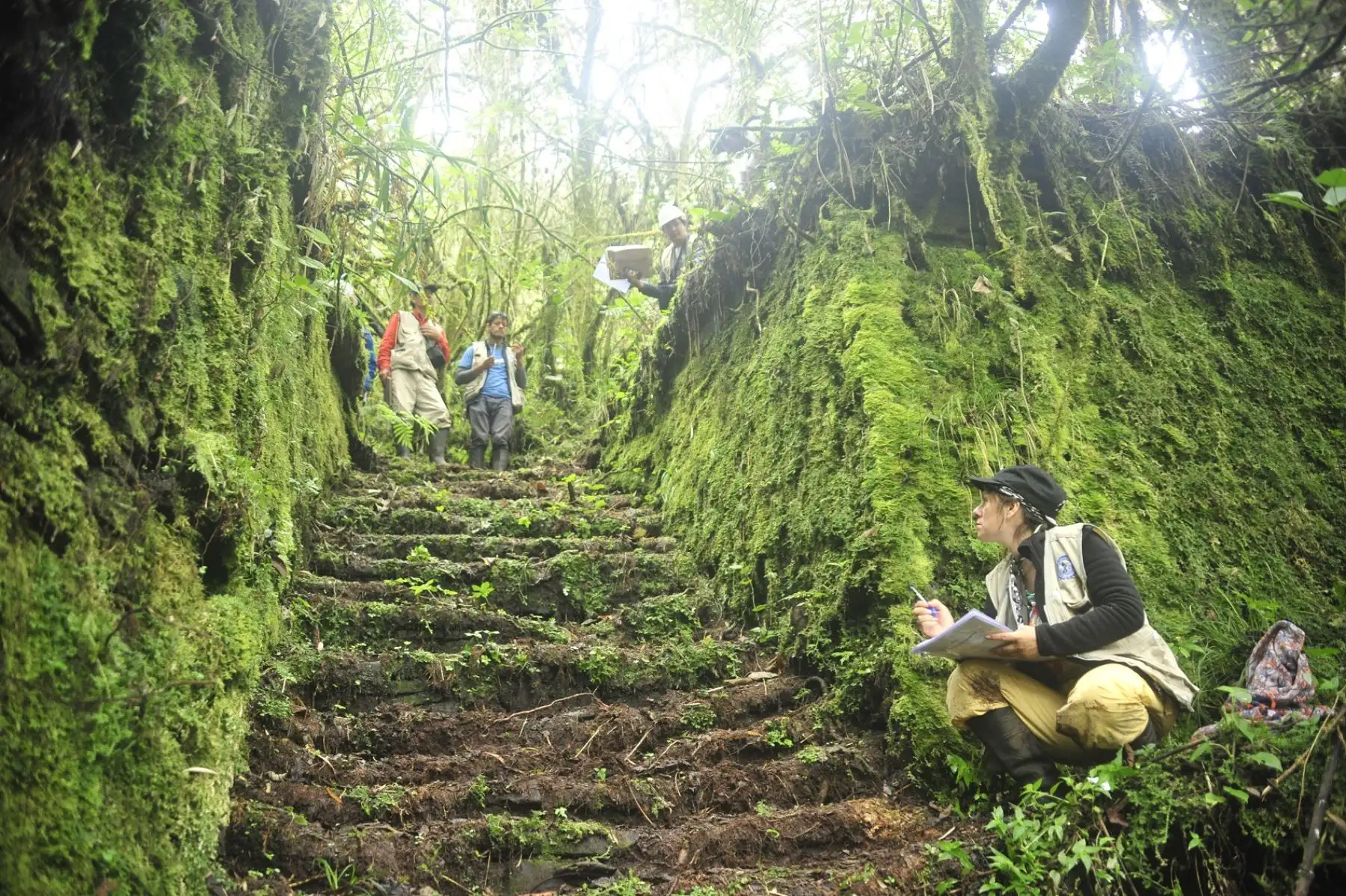 Este punto turístico fue declarado por la UNESCO como Patrimonio Mundial Natural de la Humanidad en 1992, con la finalidad de proteger las ruinas frágiles en peligro de extinción y el medio ambiente.
ANDINA/Difusión