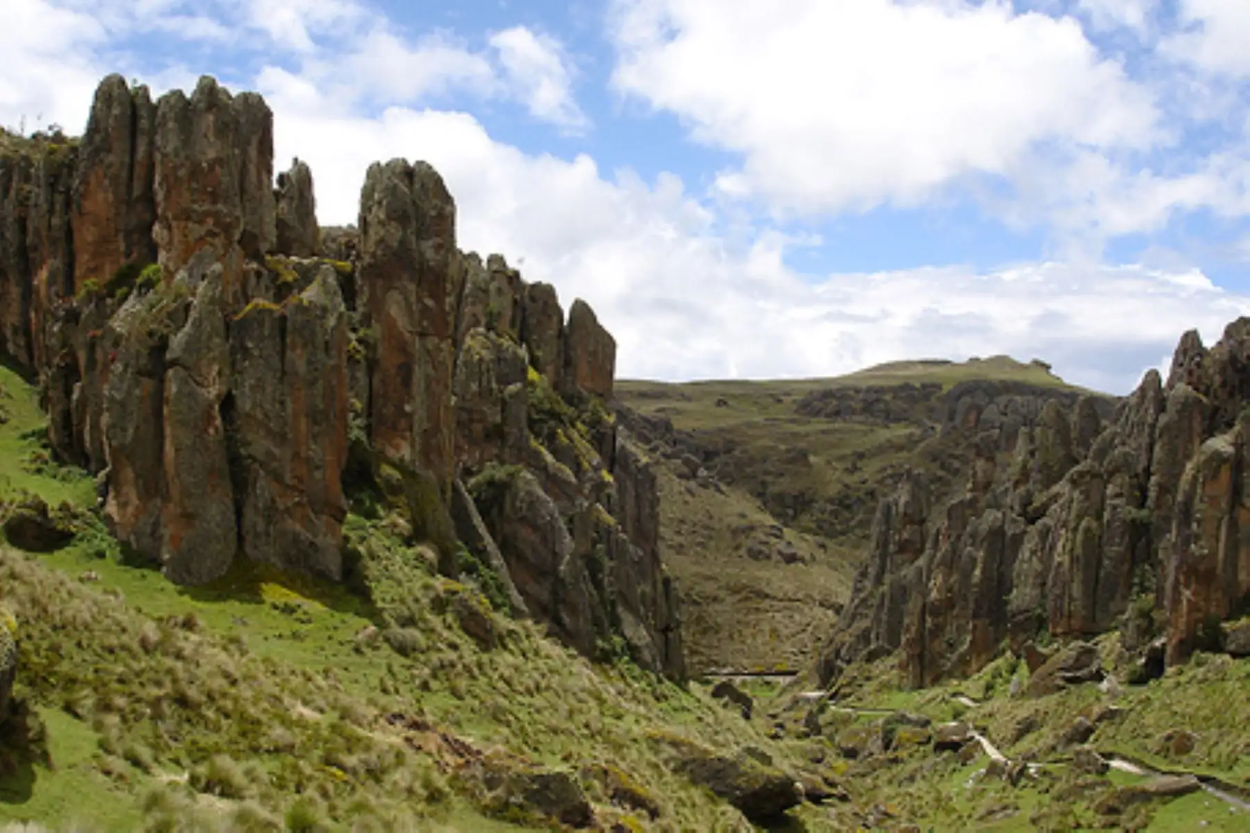El sitio arqueológico del Gran Pajatén se encuentra sobre una colina, y consiste en una serie de al menos 26 estructuras circulares de piedra encima de numerosas terrazas y escaleras.
Foto Andina/ Difusión