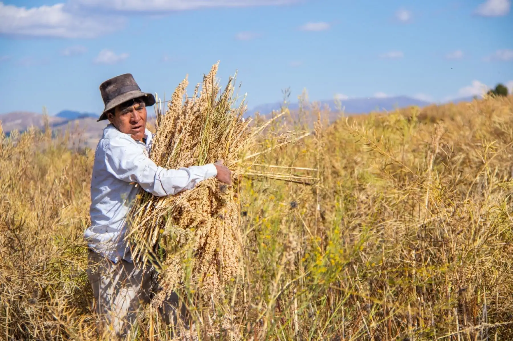 Productor agrario.