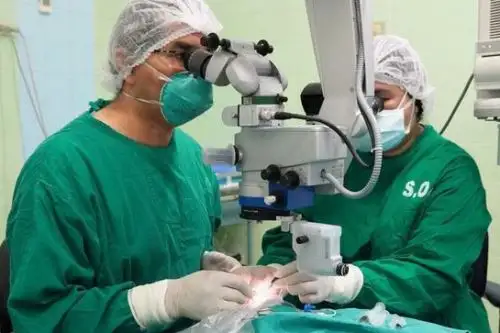 El procedimiento quirúrgico duró cuatro horas aproximadamente y consistió en detener el crecimiento de vasos sanguíneos anormales dentro del ojo. ANDINA/Minsa