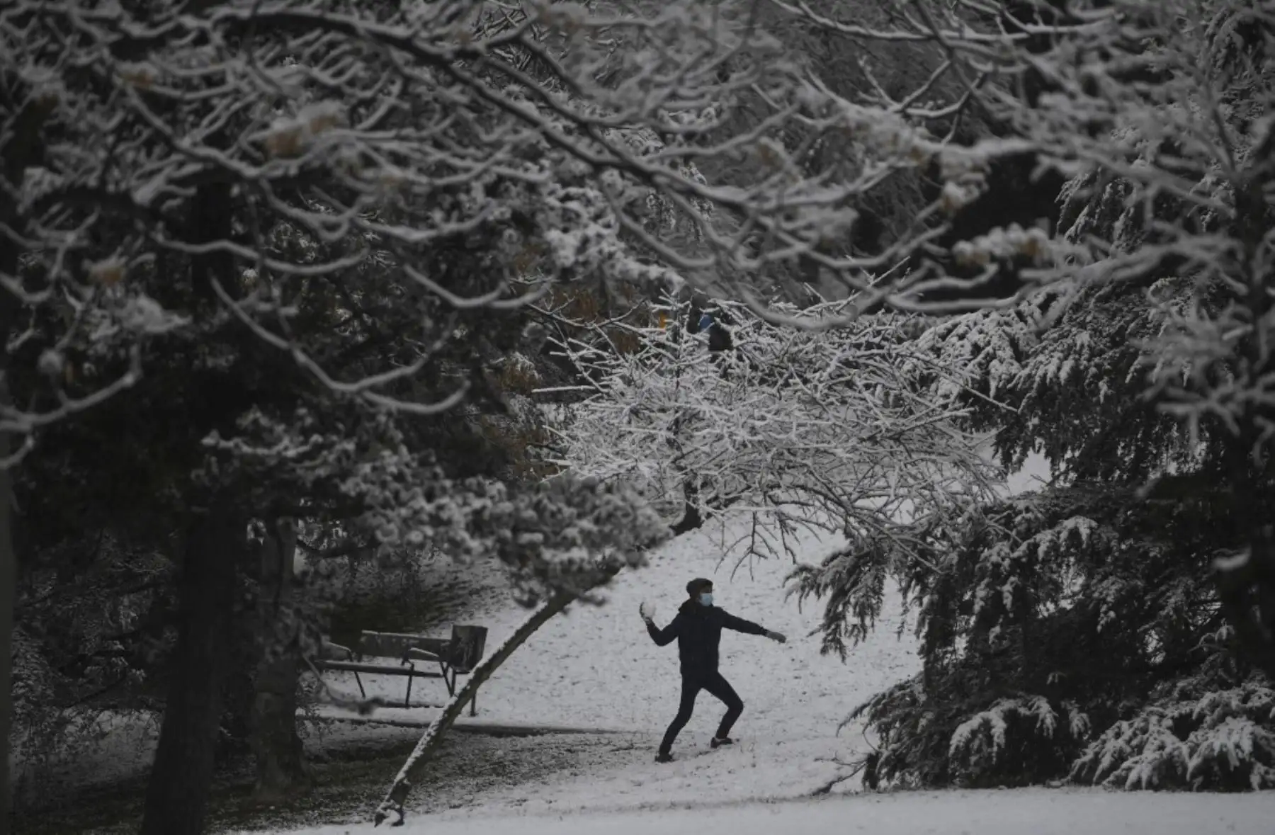 Un joven lanza una bola de nieve en Madrid. La capital y parte de España quedaron cubiertas de nieve, y las inclemencias del tiempo podrían afectar hasta la mitad del país en los próximos días. Foto: AFP