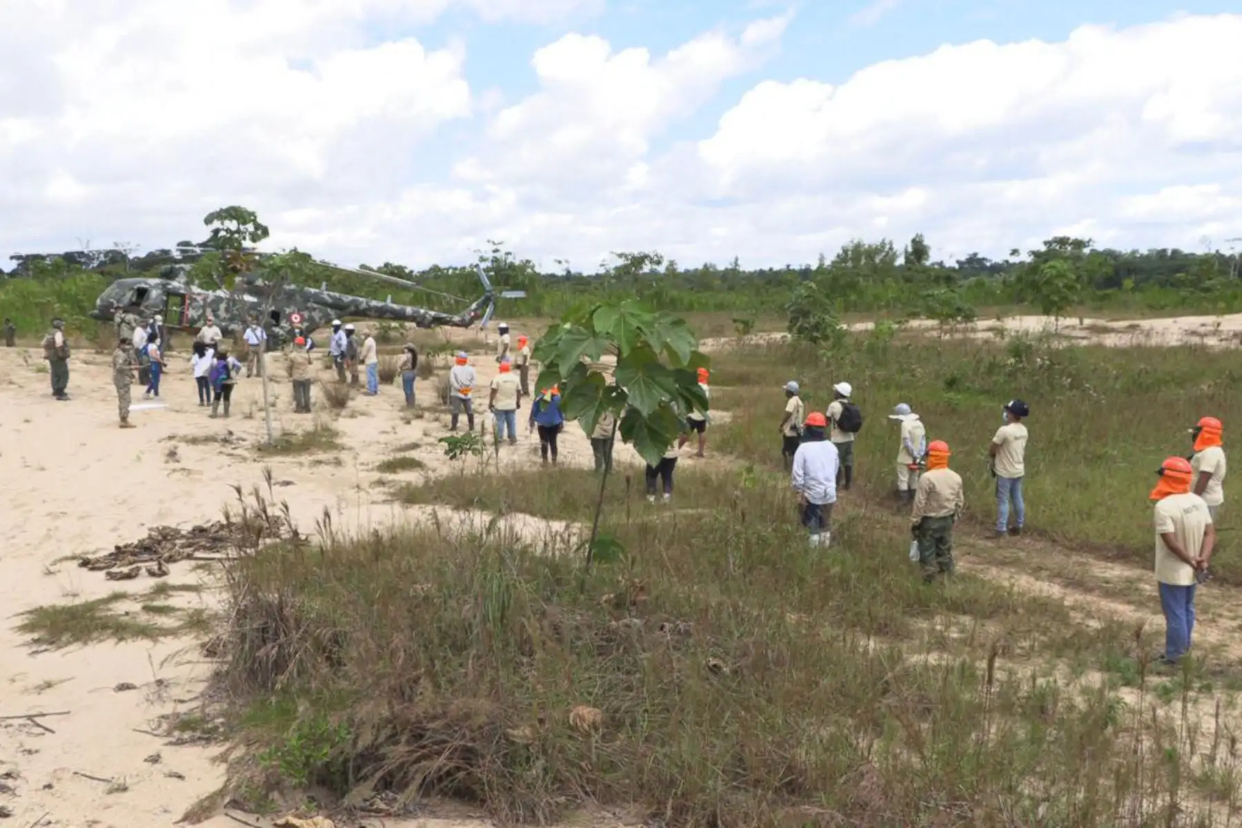El Ministerio del Ambiente, SERNANP, las Fuerzas Armadas y policiales realizan actividades de restauración en los espacios afectados por la Minería Ilegal en la Reserva Nacional Tambopata de Madre De Dios.
Foto: Minam