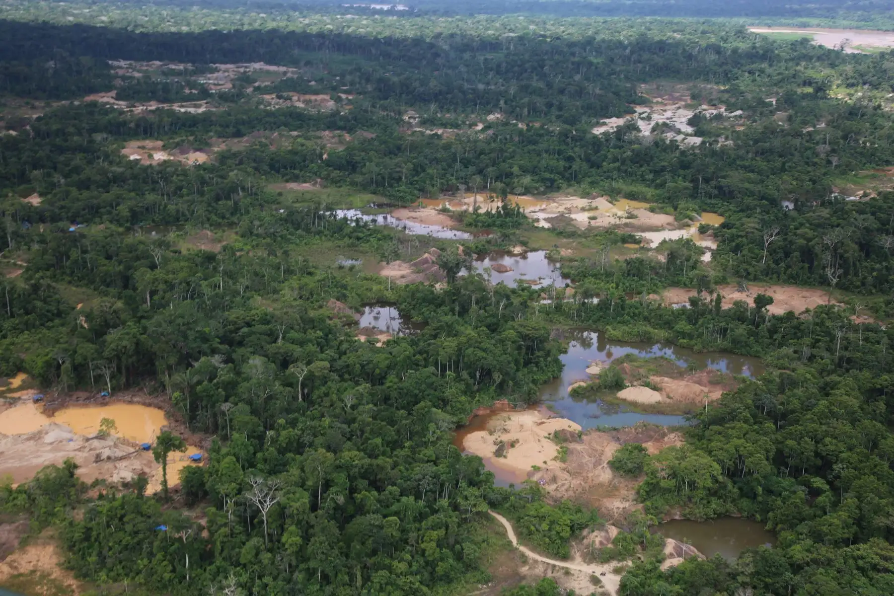 El Ministerio del Ambiente, SERNANP, las Fuerzas Armadas y policiales realizan actividades de restauración en los espacios afectados por la Minería Ilegal en la Reserva Nacional Tambopata de Madre De Dios.
Foto: Minam