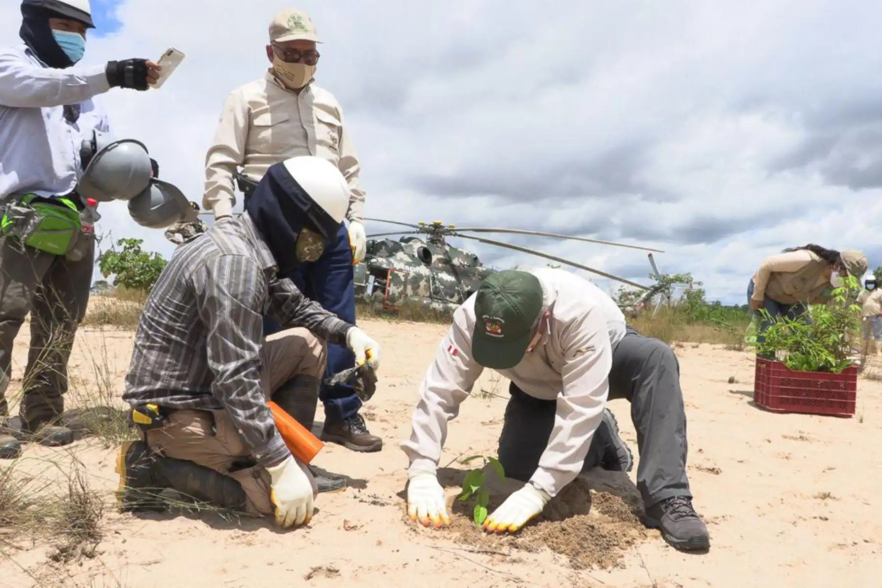 El Ministerio del Ambiente, SERNANP, las Fuerzas Armadas y policiales realizan actividades de restauración en los espacios afectados por la Minería Ilegal en la Reserva Nacional Tambopata de Madre De Dios.
Foto: Minam