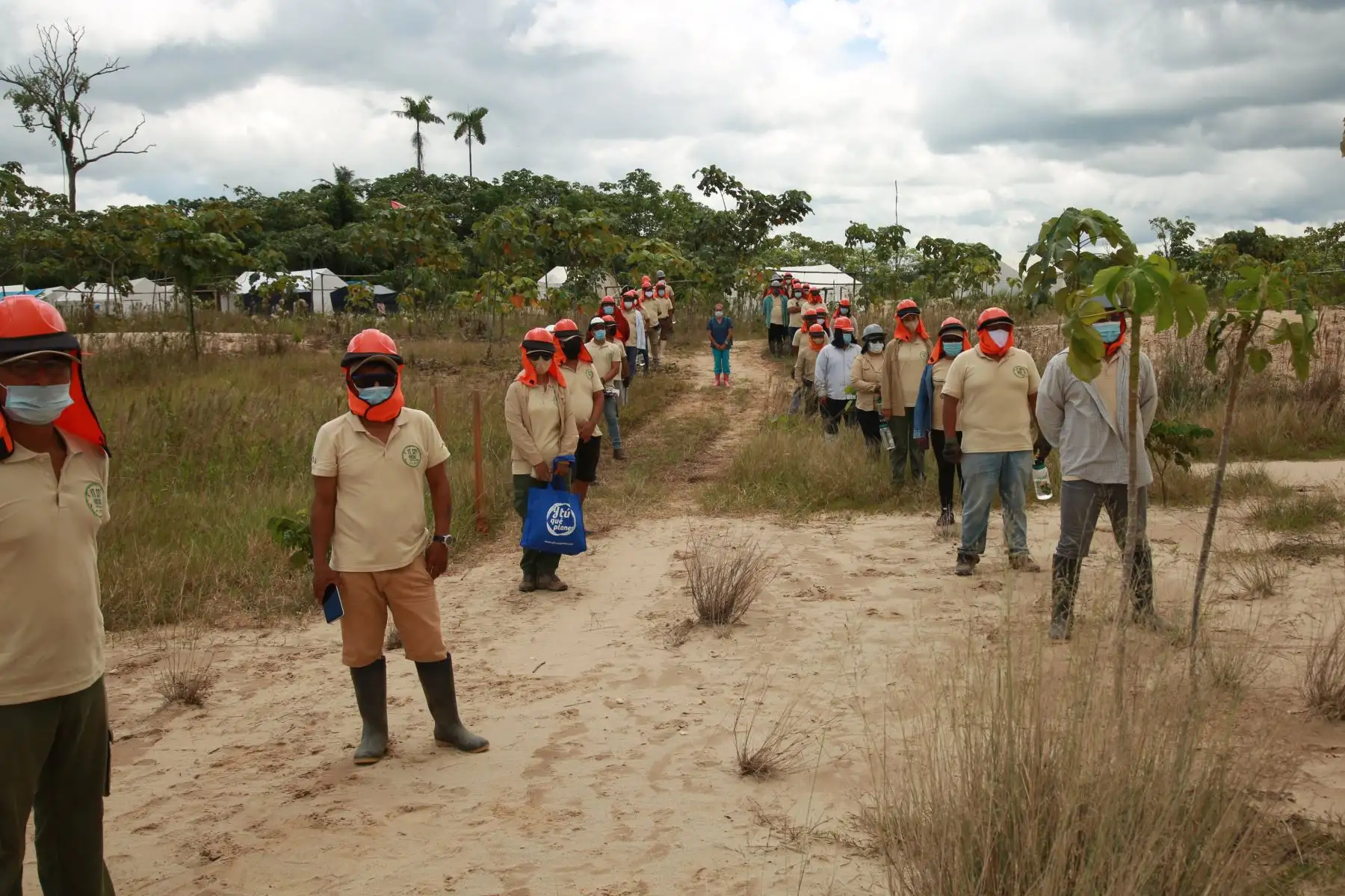 El Ministerio del Ambiente, SERNANP, las Fuerzas Armadas y policiales realizan actividades de restauración en los espacios afectados por la Minería Ilegal en la Reserva Nacional Tambopata de Madre De Dios.
Foto: Minam
