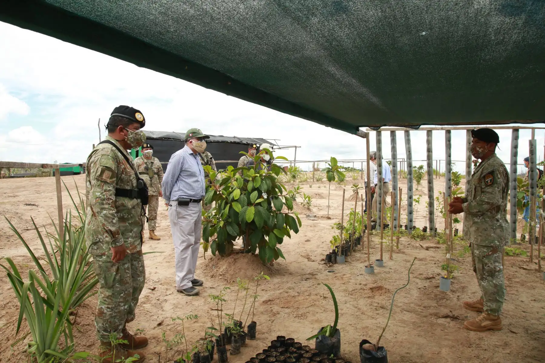 El Ministerio del Ambiente, SERNANP
 , las Fuerzas Armadas y policiales realizan actividades de restauración en los espacios afectados por la Minería Ilegal en la Reserva Nacional Tambopata de Madre De Dios.
Foto: Minam