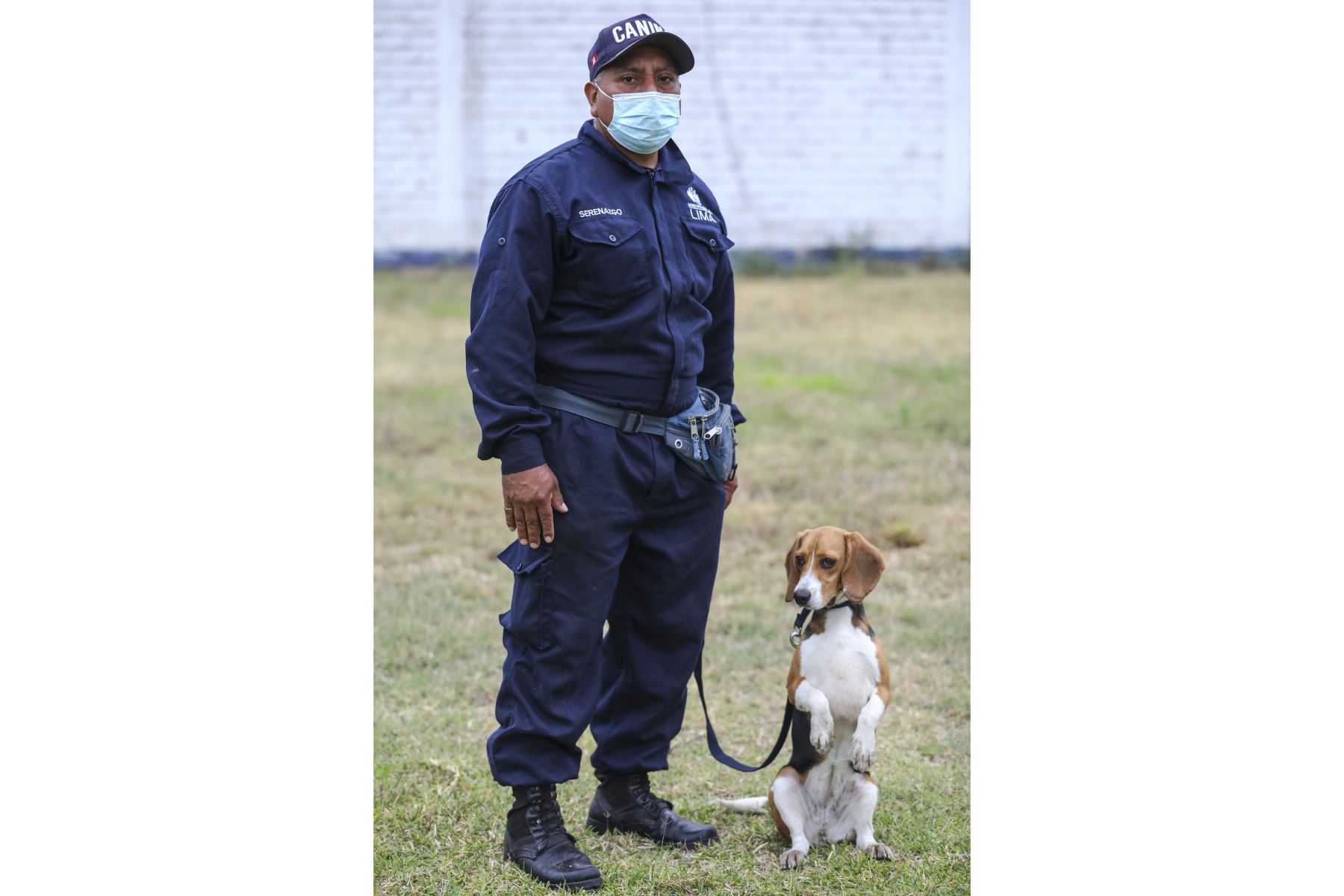 Brandon, Leia, Negro Junior, Antar y Atila son los nuevos canes que se incorporaron a la Brigada Canina de la Municipalidad de Lima, para sumarse a las labores de seguridad ciudadana en la ciudad, y convertirse en los nuevos guardianes del orden público. Foto: MML