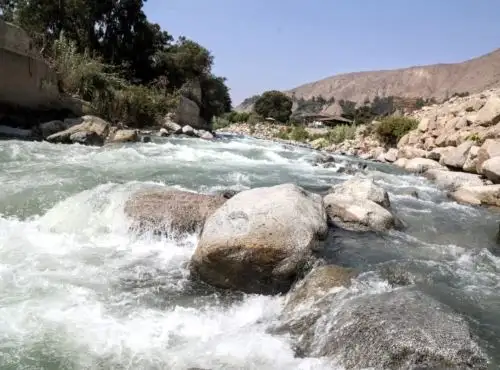 Proyecto científico evaluará el impacto del uso masivo de la ivermectina en el medio ambiente. El estudio se realizará en diversos ríos de Lima y otras regiones.