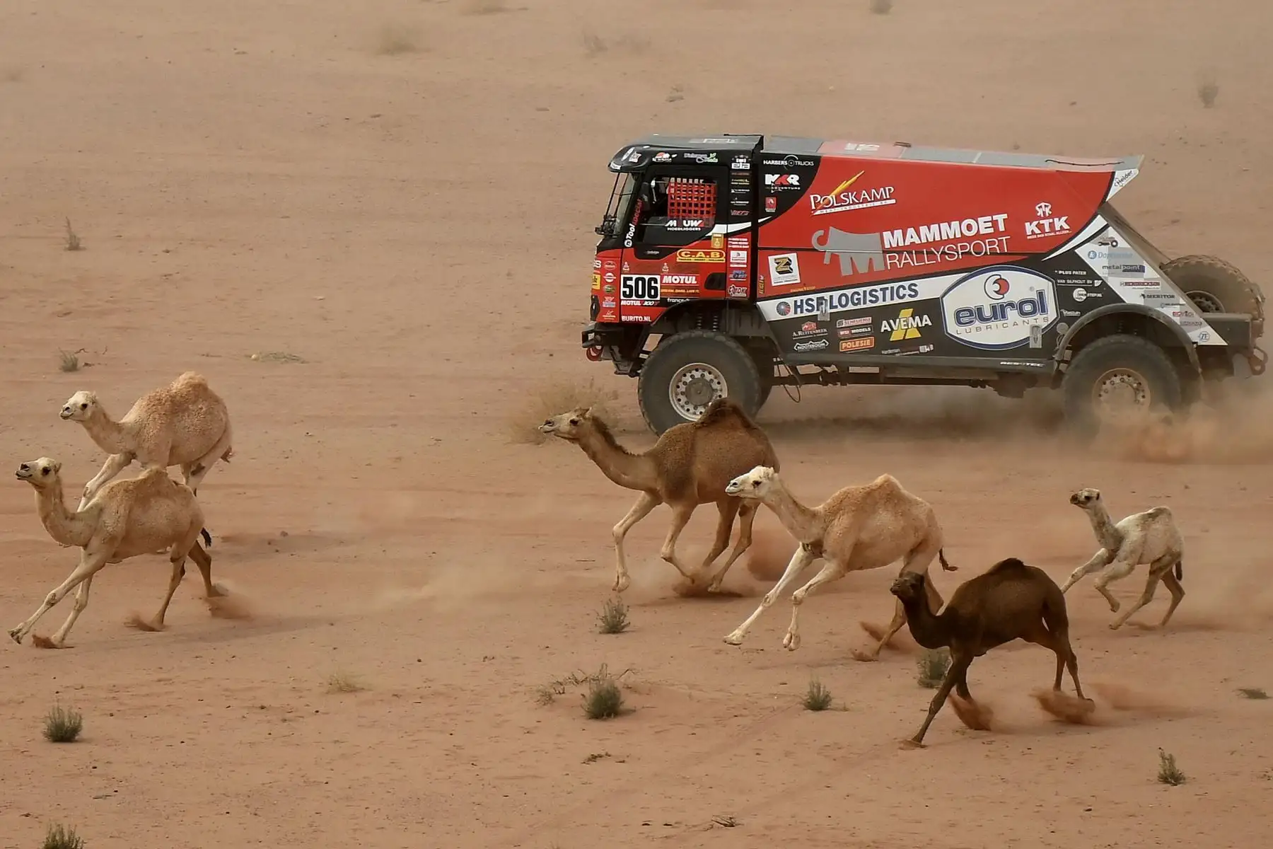 El camionero holandés de Renault Martin Van Den Brink, el copiloto Wouter de Graaf y el checo Daniel Kozlovsky compiten durante la etapa 10 del Rally Dakar 2021 entre Neom y Alula en Arabia Saudita. Foto: AFP