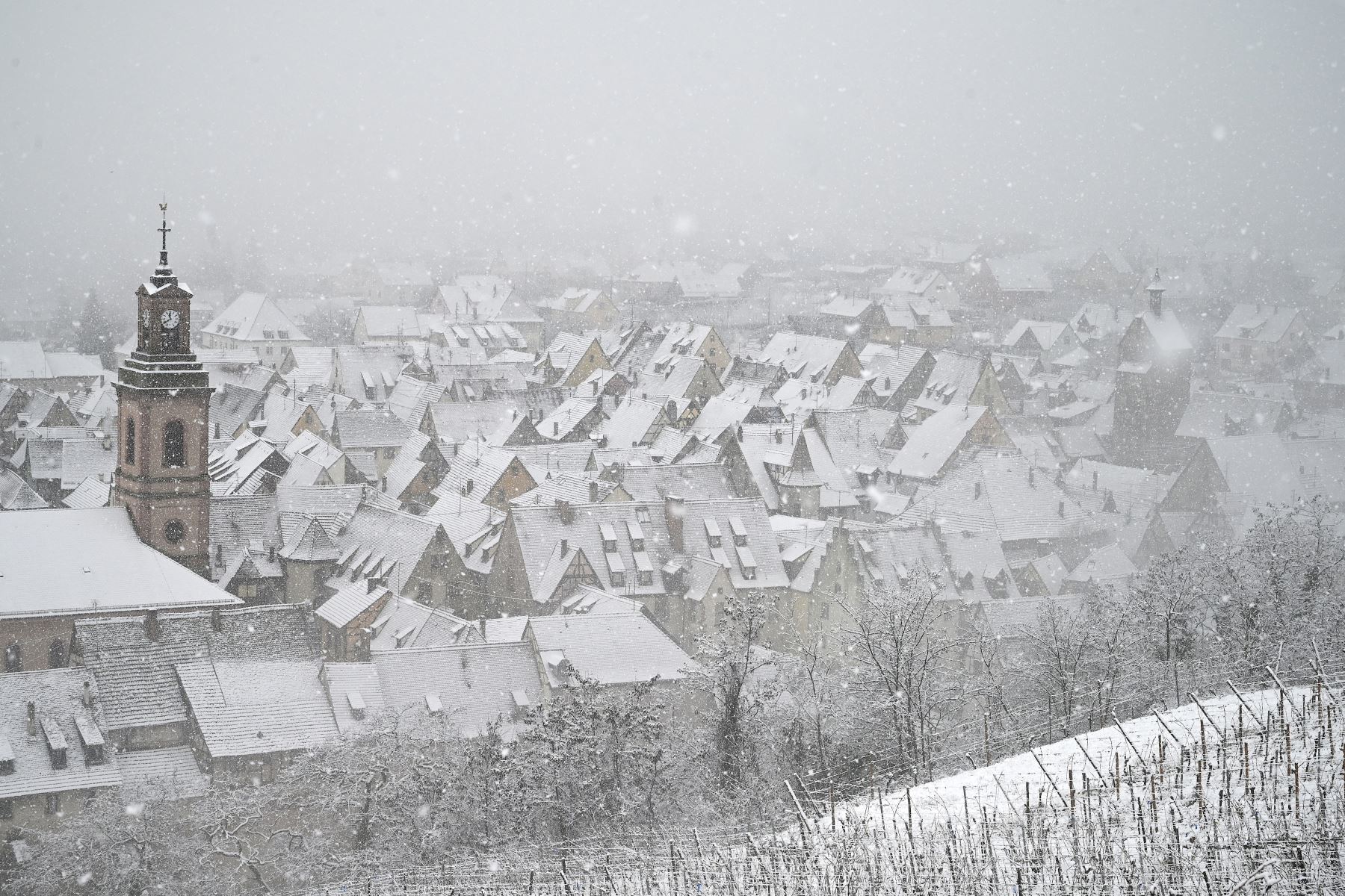 La nieve cubre el viñedo en el pueblo alsaciano de Riquewihr, en el este de Francia.
Foto: AFP
