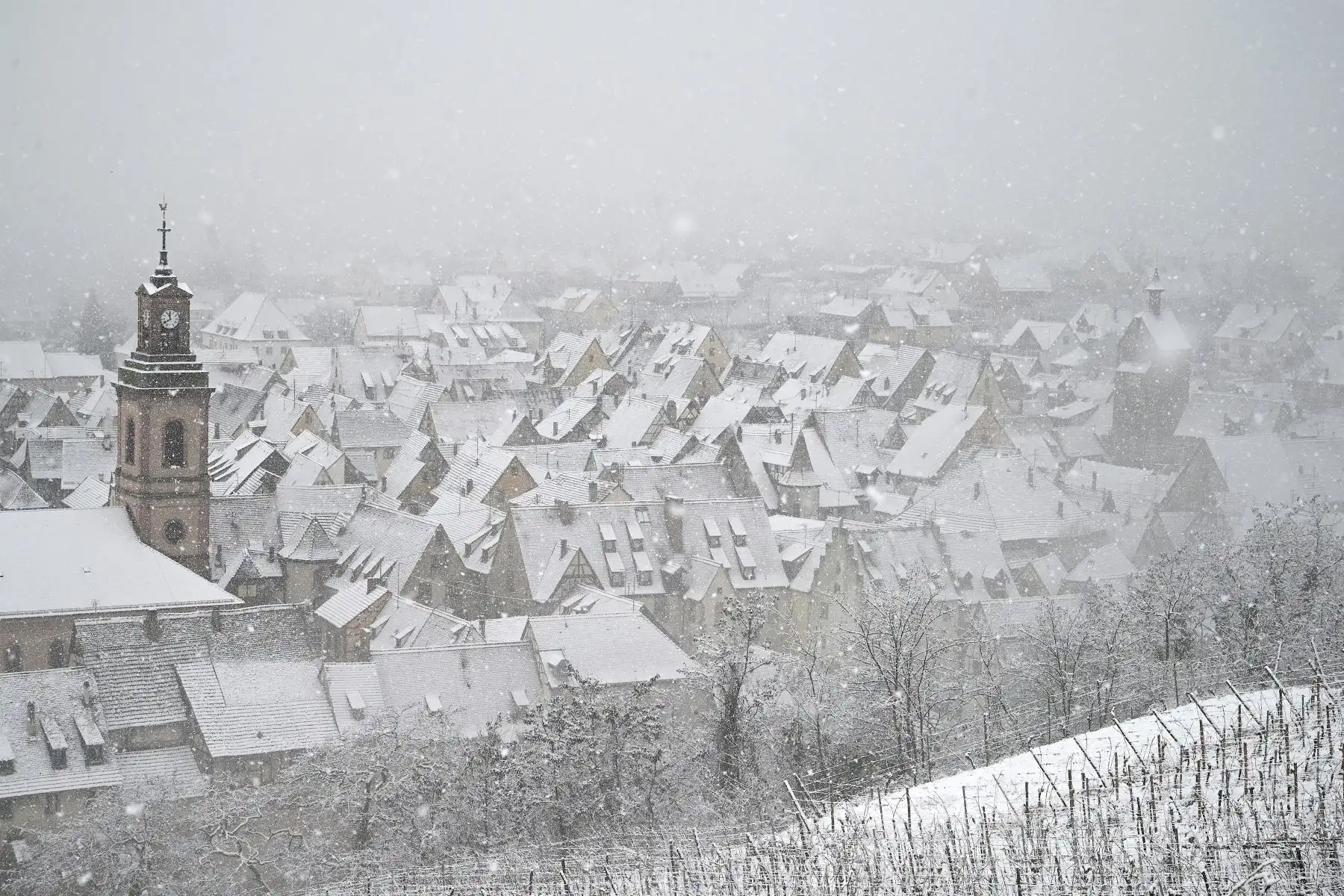 La nieve cubre el viñedo en el pueblo alsaciano de Riquewihr, en el este de Francia.
Foto: AFP
