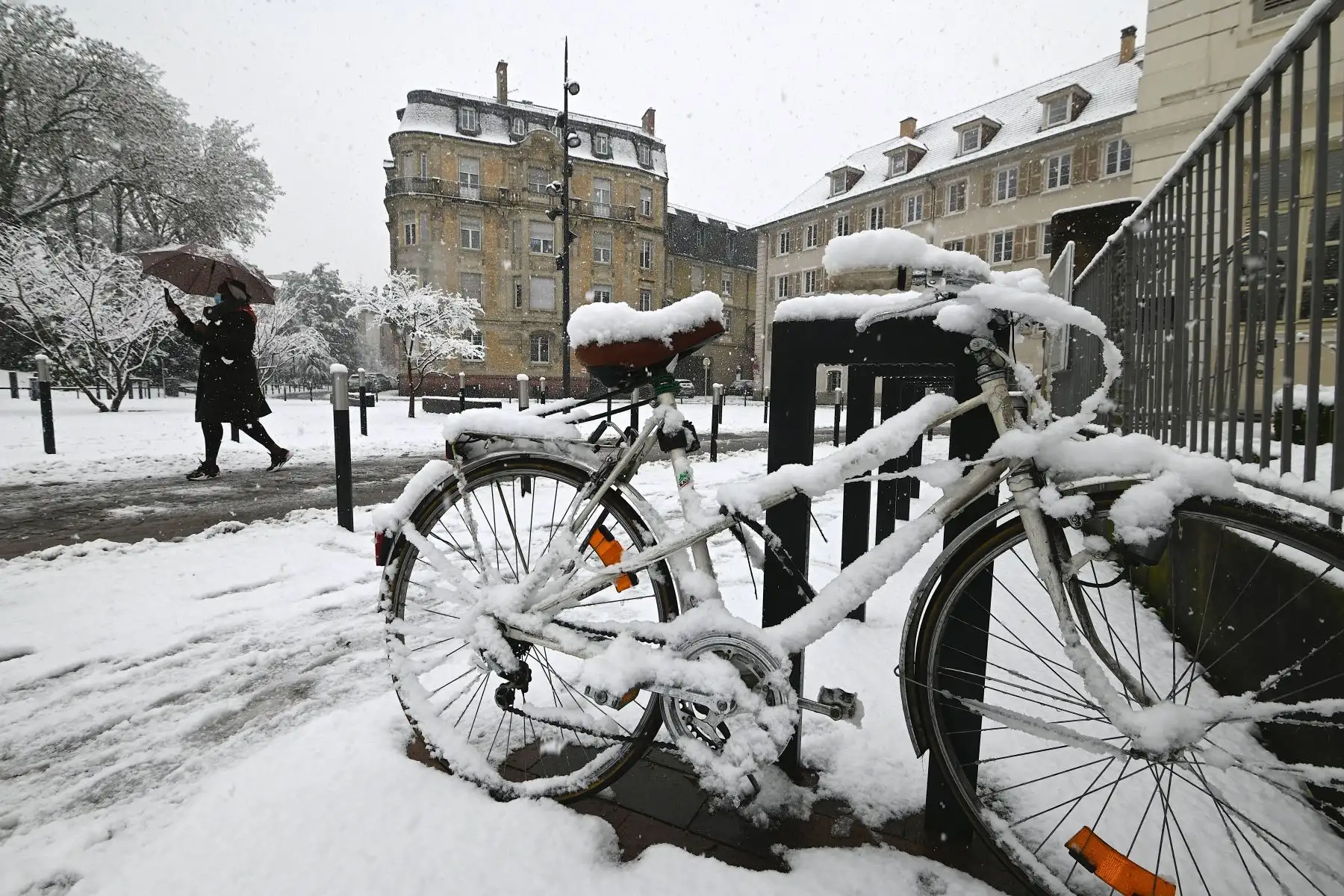 Una mujer camina en una bicicleta cubierta de nieve en una calle de Mulhouse, en el este de Francia,  luego de que la nieve cayera sobre Alsacia.
Foto: AFP