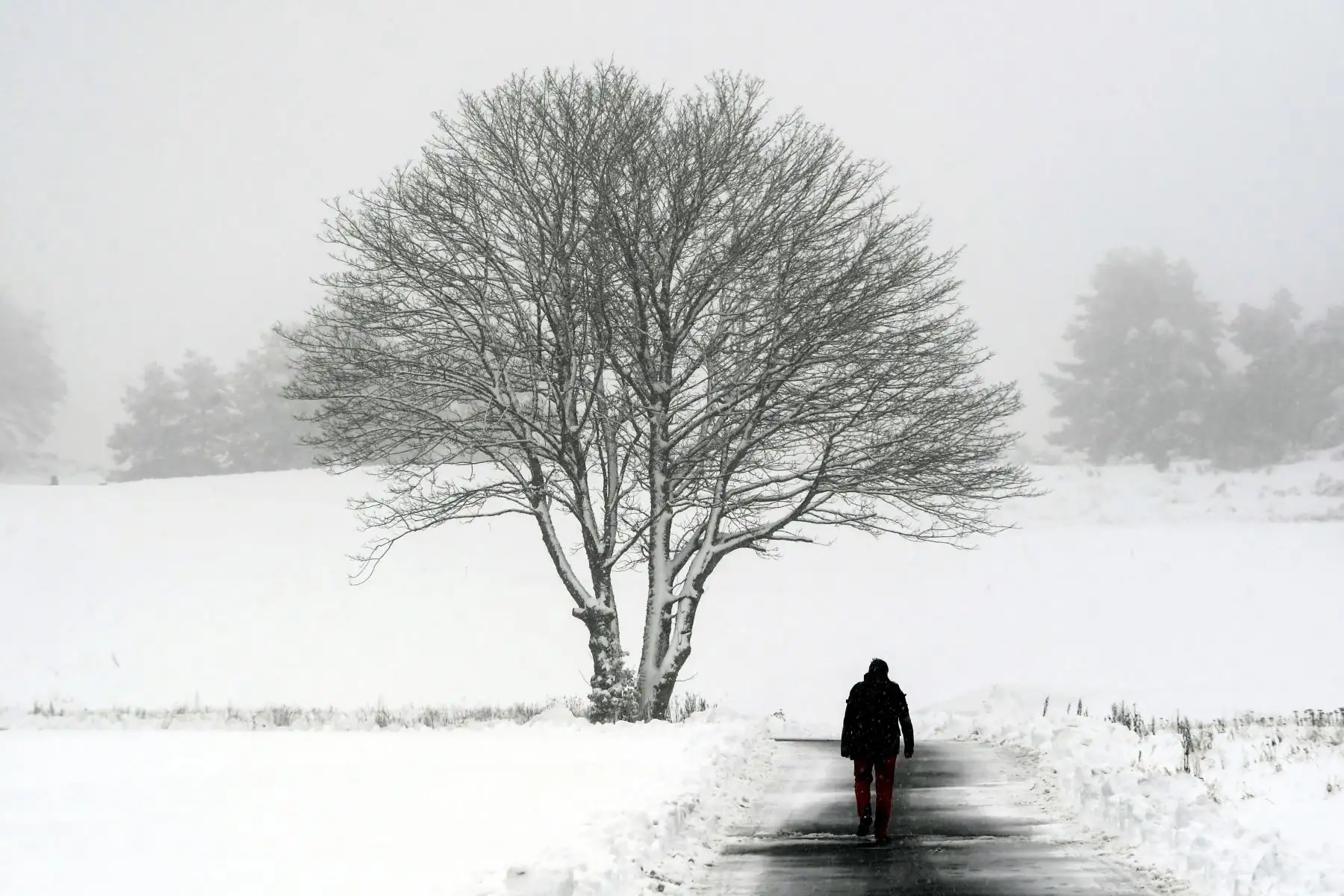 Un hombre camina por un sendero en el campo de golf de Gleneagles en Gleneagles mientras nevaba intensamente en partes de Escocia.
Foto: AFP