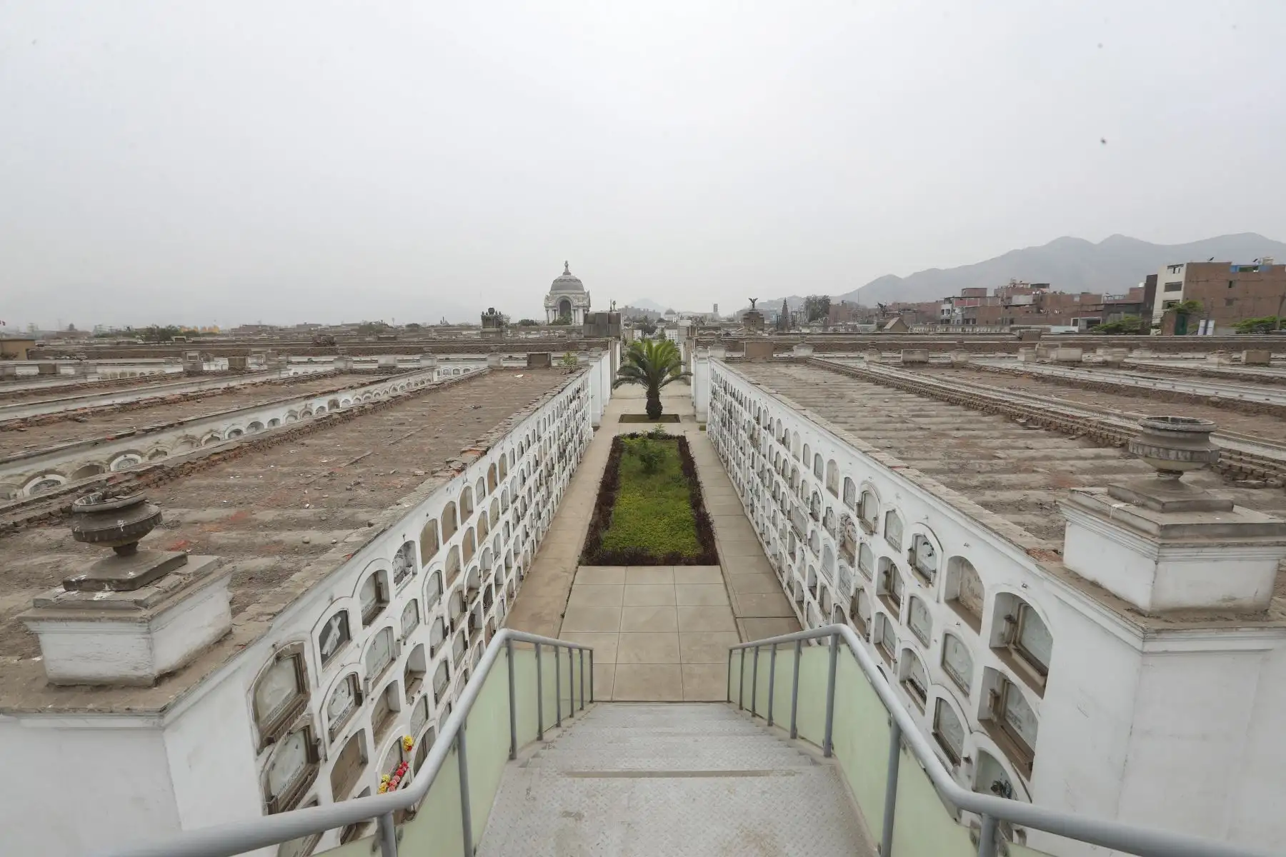 Museo Cementerio Presbítero Maestro de Lima reabre sus puertas al público con las visitas guiadas. Foto: ANDINA/Carla Patiño