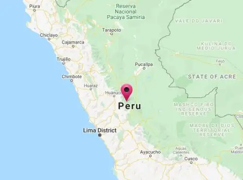 Sismo de magnitud 4.0 remeció la selva de la región Pasco esta madrugada.