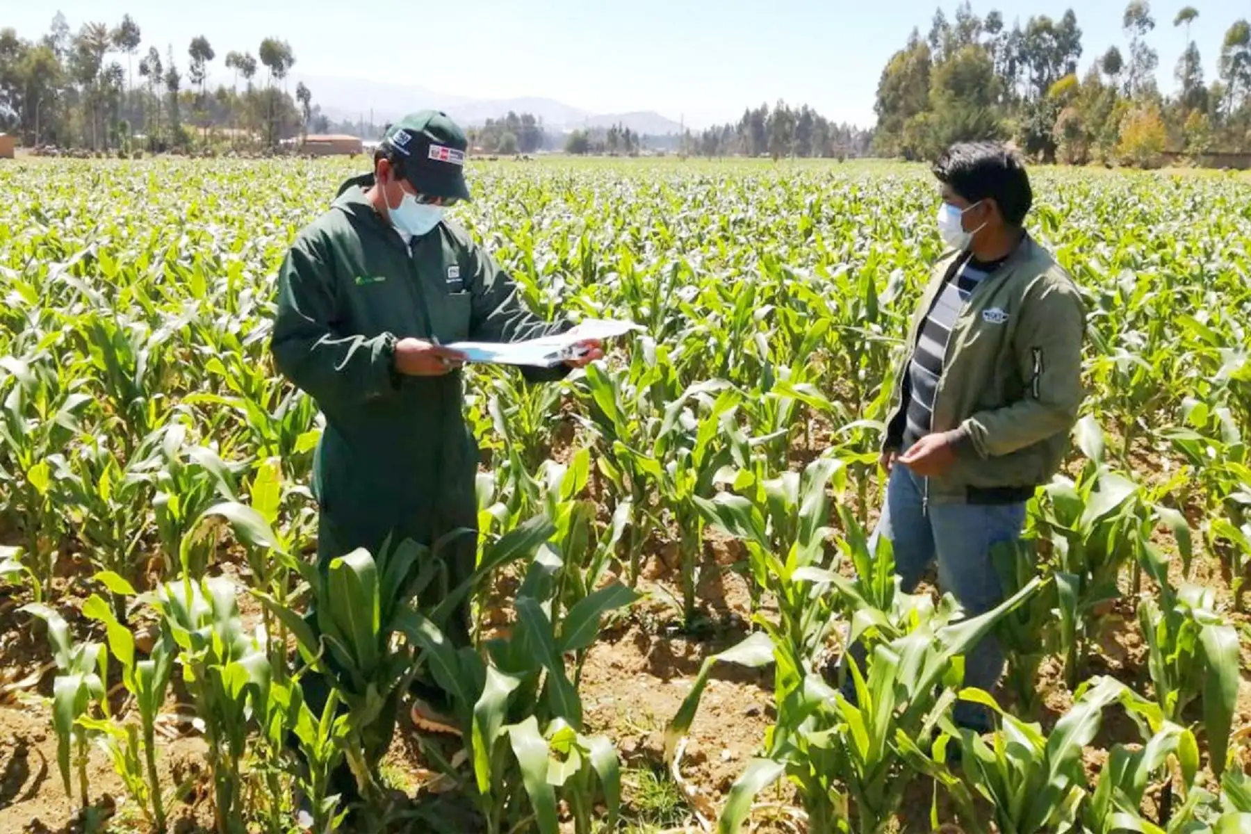 Asistencia técnica.