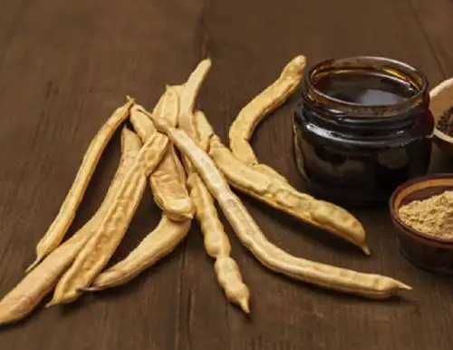 La algarroba y su derivado, la algarrobina, es rica en vitaminas del complejo B, C y E, además de minerales como magnesio, hierro, calcio, zinc, yodo, selenio y potasio, así como ácidos grasos, fibra, glucosa, fructosa y sacarosa que aportan mucha energía y fortalecen el sistema inmunológico del organismo.