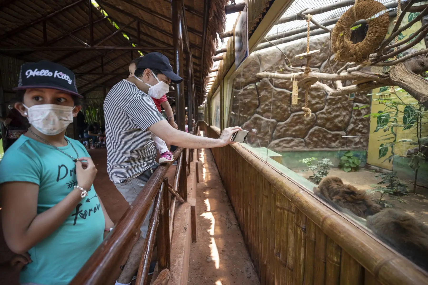 El Parque de las Leyendas presentó al nuevo ejemplar de mono tocón nacido recientemente. El público visitante pudo apreciar al primate. Foto: MML