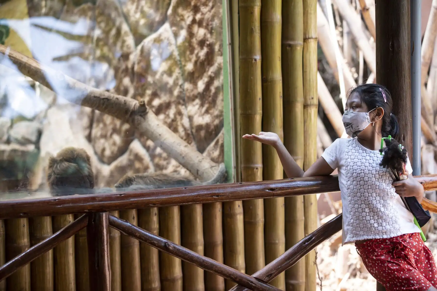 El Parque de las Leyendas presentó al nuevo ejemplar de mono tocón nacido recientemente. El público visitante pudo apreciar al primate. Foto: MML