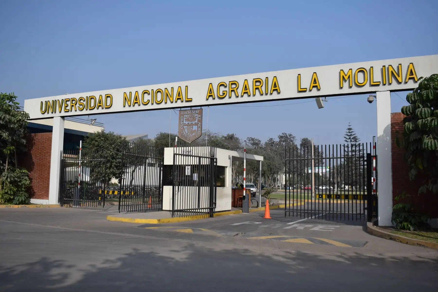 Más de 2,000 postulantes buscan alcanzar una de las 588 vacantes disponibles en la UNALM. Foto: ANDINA/UNALM