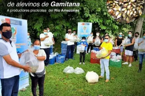 Foto: ANDINA/difusión.