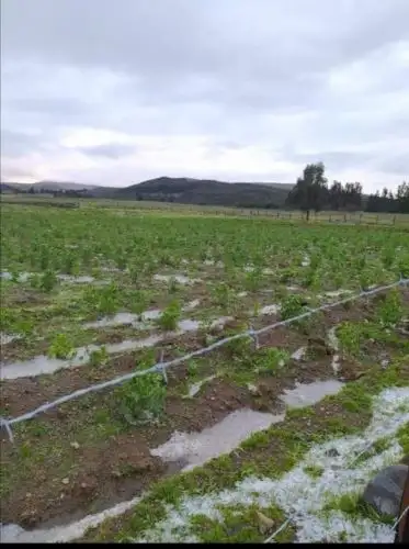 Se espera la ocurrencia de granizo y nieve en zonas andinas. Foto: ANDINA/difusión.