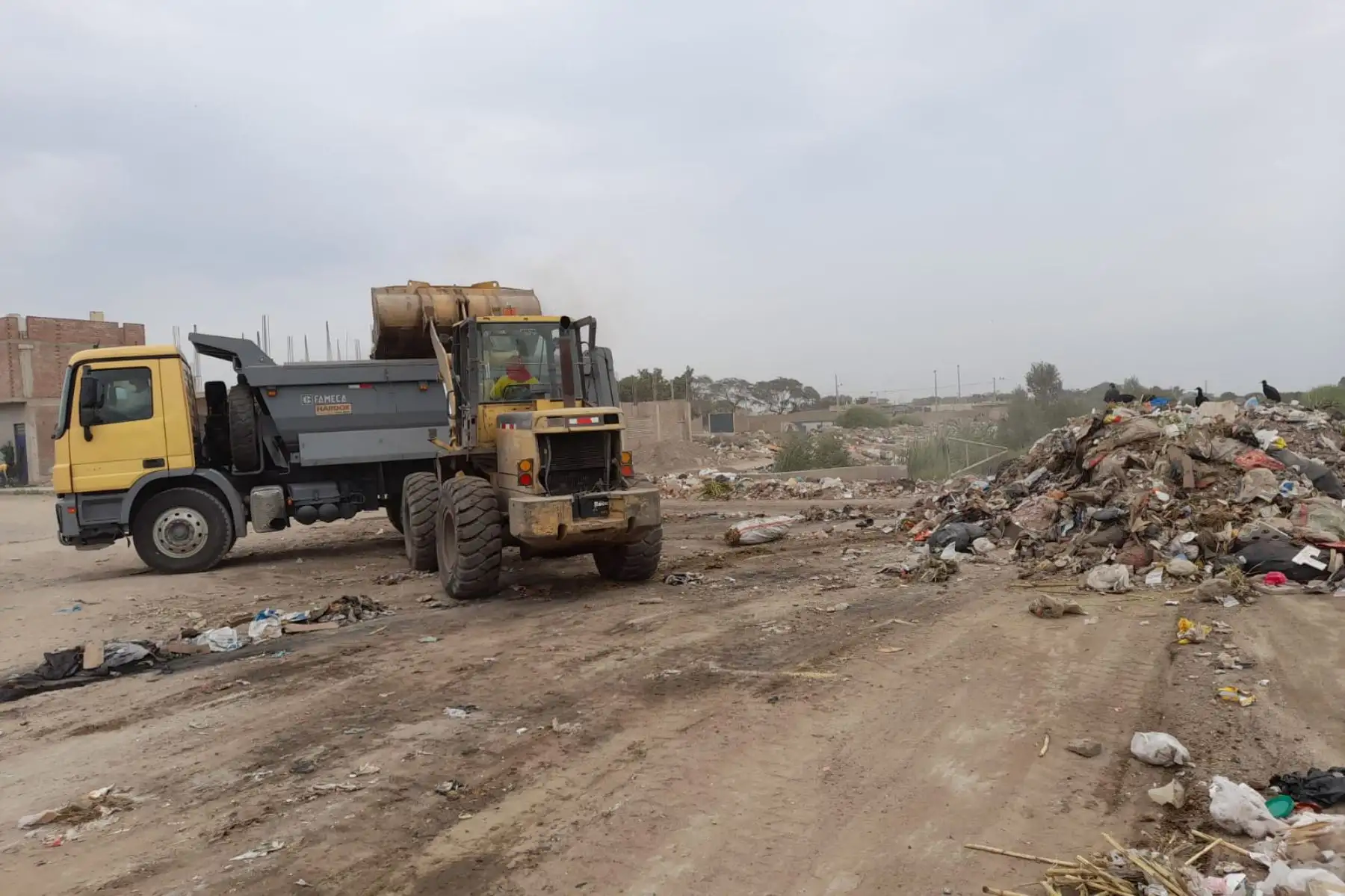 El gobierno regional de Lambayeque apoyó la jornada de limpieza en la ciudad de Chiclayo con siete volquetes y un cargador frontal. Foto: ANDINA/Difusión
