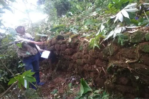 El sitio arqueológico Casa del Inca, ubicado en la reserva comunal Amarakaeri (RCA), se encuentra en la provincia de Manu, departamento de Madre de Dios.