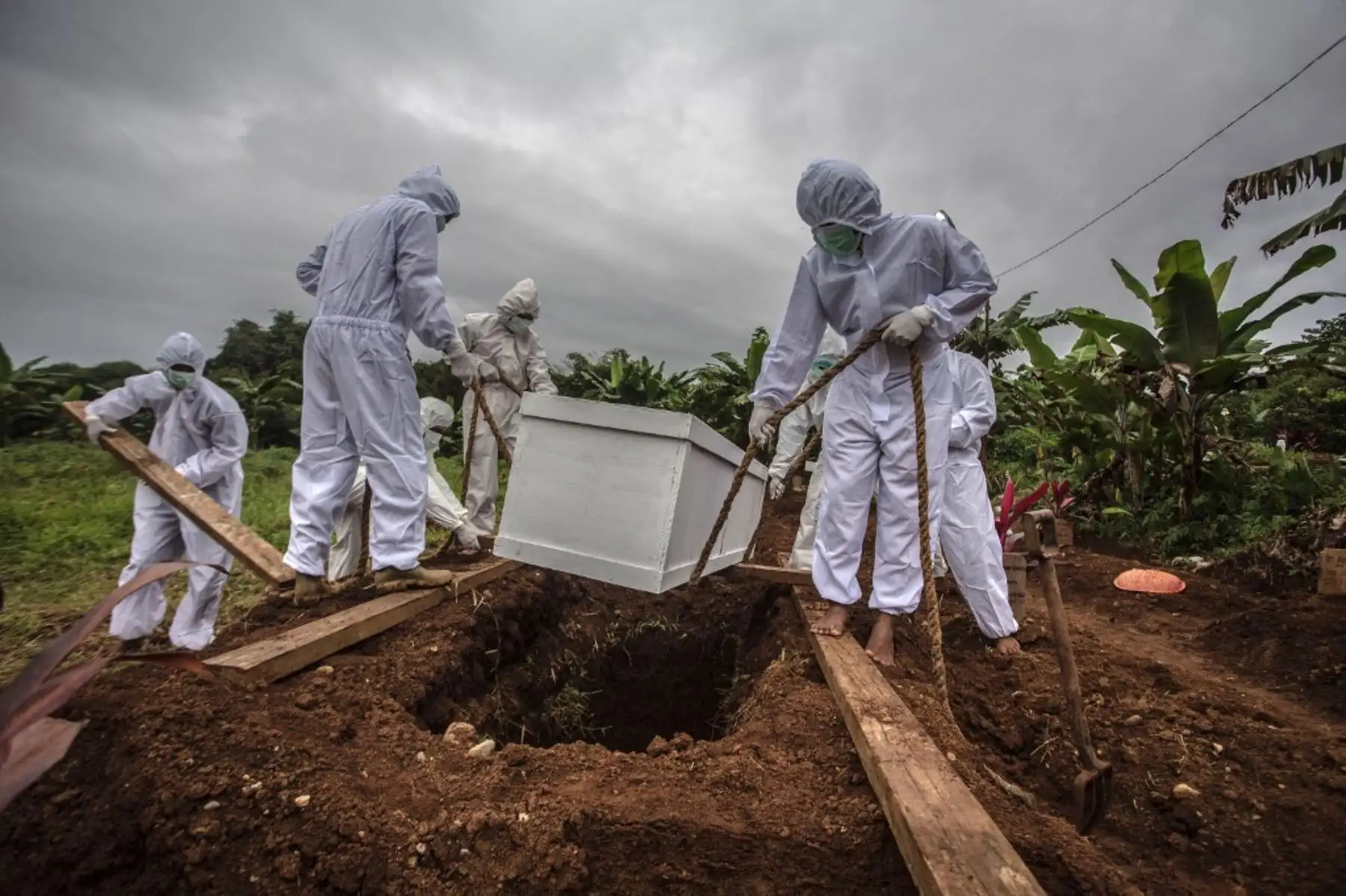 Excavadores de tumbas entierran un ataúd de una víctima de Covid-19 en un cementerio especial en Bogor el 26 de enero de 2021, cuando Indonesia superó más de un millón de casos de Covid-19, mientras el archipiélago lanza una de las campañas de vacunación más grandes del mundo para tomar medidas drásticas una tasa de infección vertiginosa. Foto: AFP