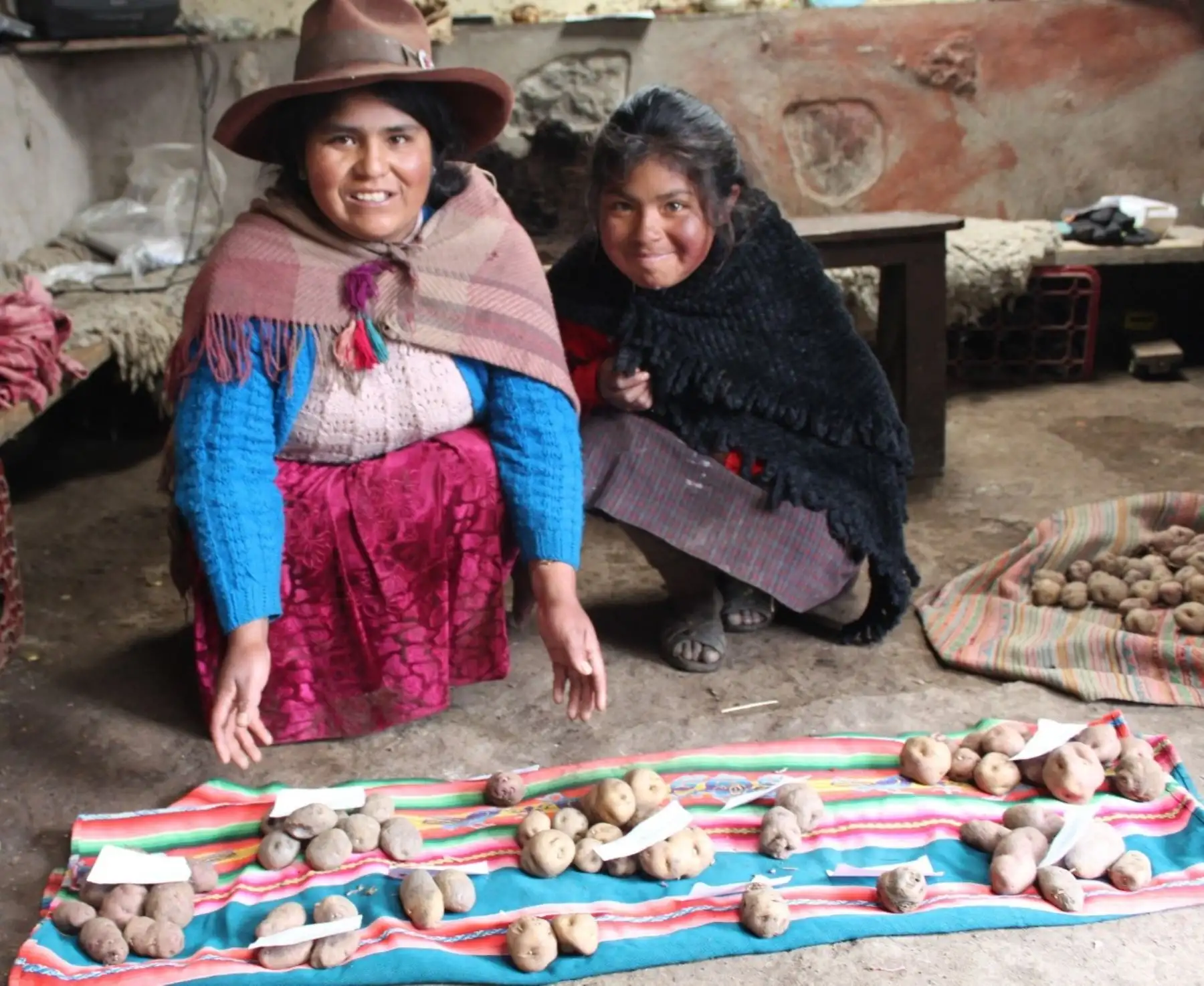 Conoce Marcapata Ccollana, la nueva estrella de la agrobiodiversidad del Perú, reconocida por el Ministerio de Desarrollo Agrario y Riego (Midagri), que atesora diversos cultivos andinos. ANDINA/Difusión
