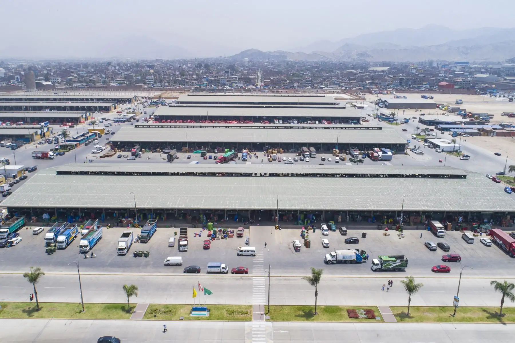 Abastecimiento de diversos productos como la papa, zapallo, tomate, ajíes y cebolla etc, esta garantizado  en el Gran Mercado Mayorista de Lima que promueve la Municipalidad de Lima.
Foto: Municipalidad de Lima