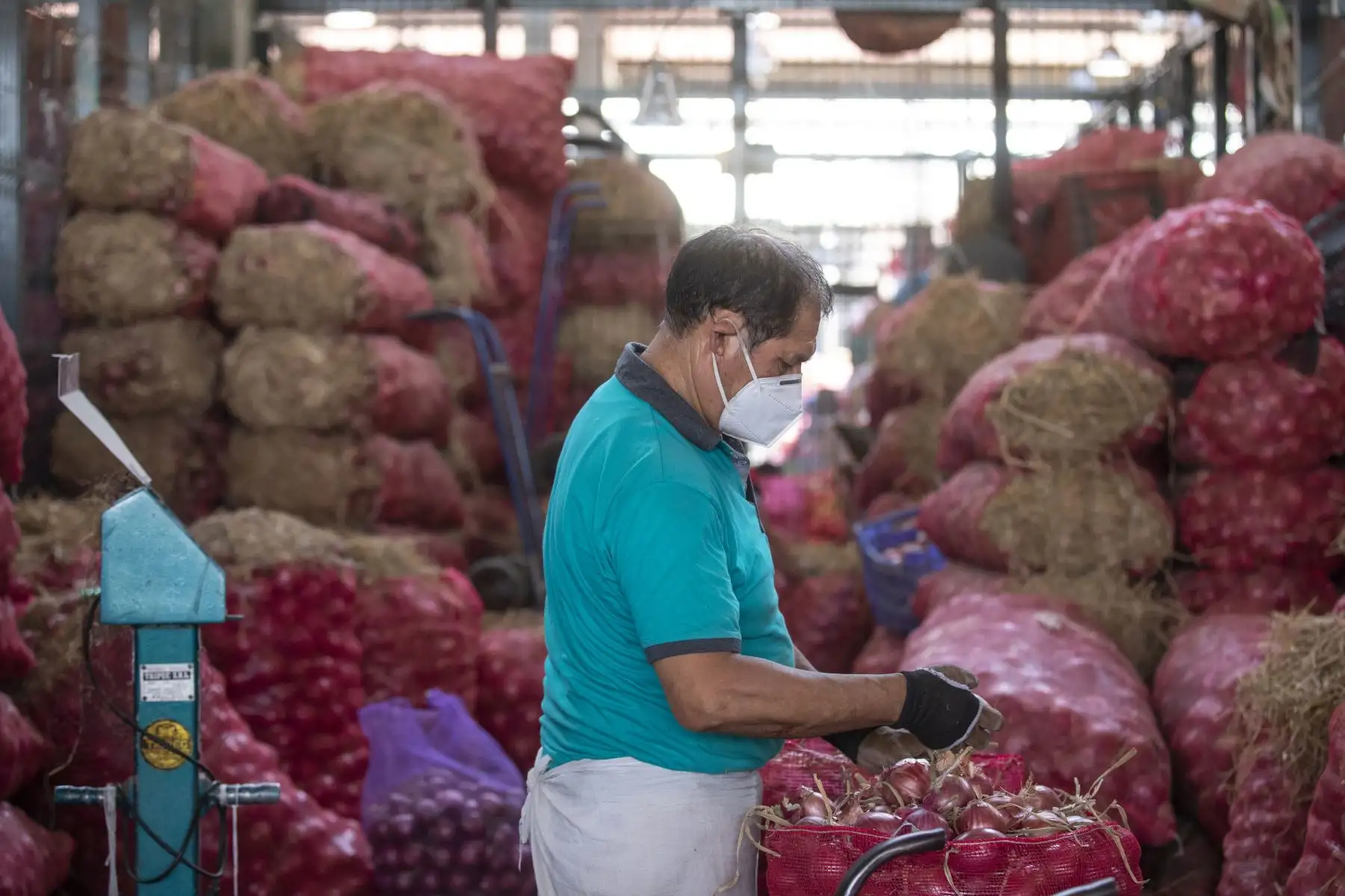 Abastecimiento de diversos productos como la papa, zapallo, tomate, ajíes y cebolla etc, esta garantizado  en el Gran Mercado Mayorista de Lima que promueve la Municipalidad de Lima.
Foto: Municipalidad de Lima
