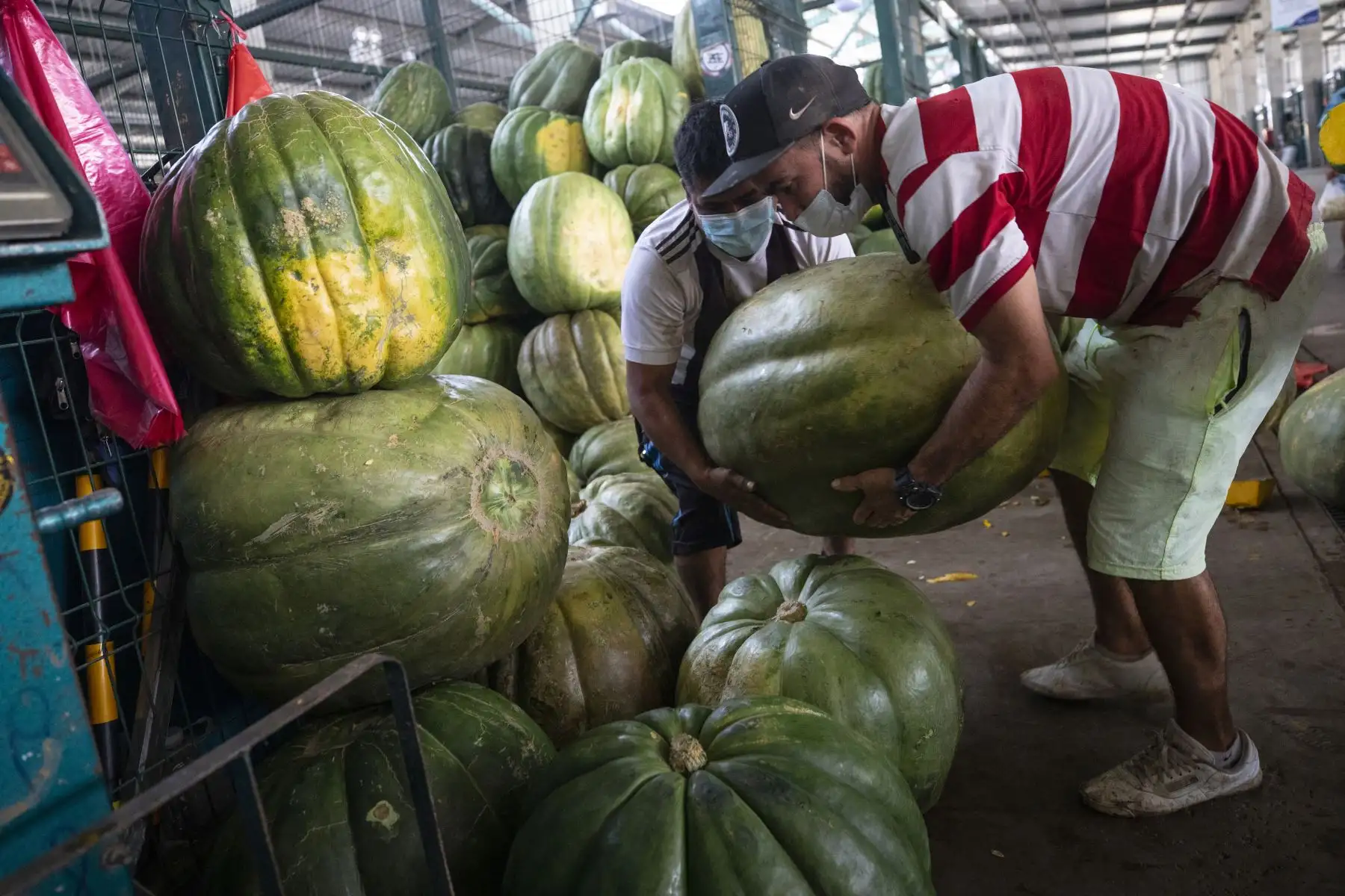 Abastecimiento de diversos productos como la papa, zapallo, tomate, ajíes y cebolla etc, esta garantizado  en el Gran Mercado Mayorista de Lima que promueve la Municipalidad de Lima.
Foto: Municipalidad de Lima