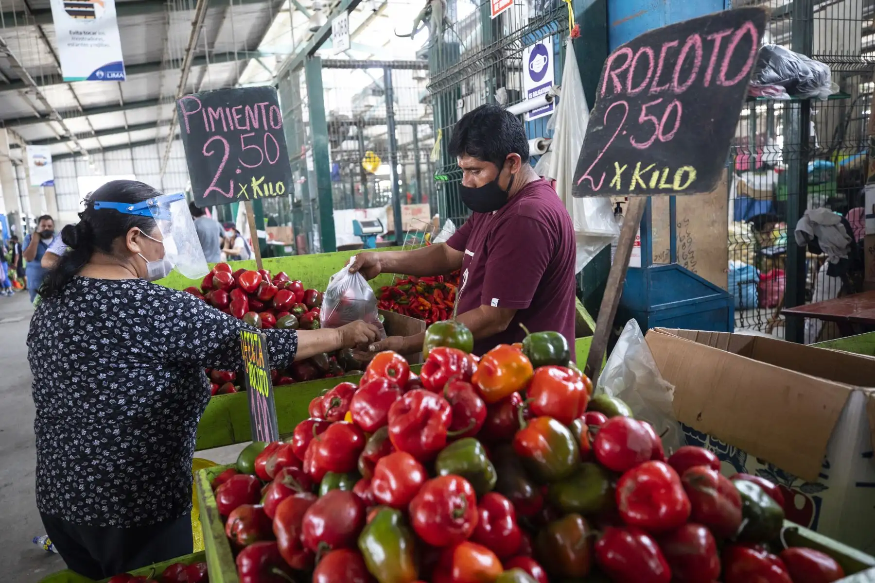 Abastecimiento de diversos productos como la papa, zapallo, tomate, ajíes y cebolla etc, esta garantizado  en el Gran Mercado Mayorista de Lima que promueve la Municipalidad de Lima.
Foto: Municipalidad de Lima