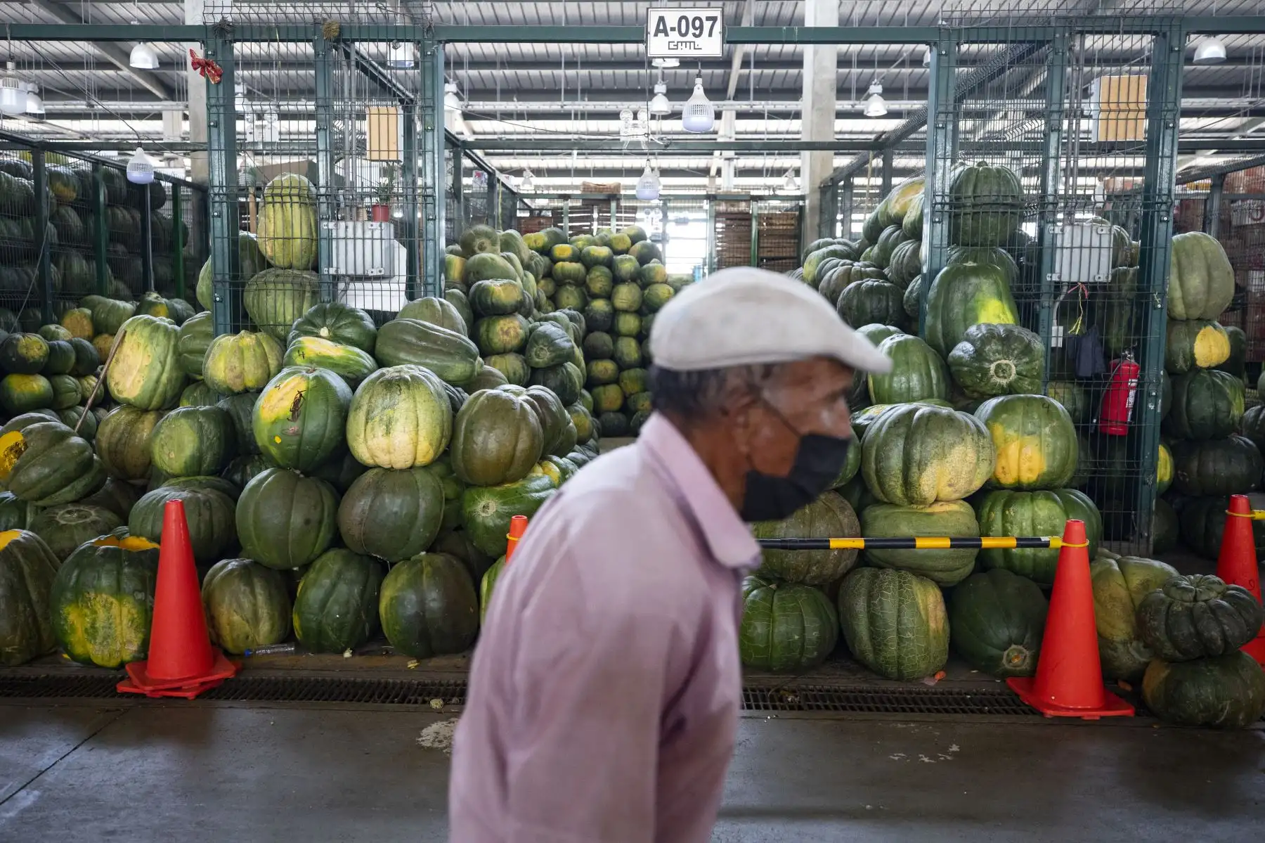 Abastecimiento de diversos productos como la papa, zapallo, tomate, ajíes y cebolla etc, esta garantizado  en el Gran Mercado Mayorista de Lima que promueve la Municipalidad de Lima.
Foto: Municipalidad de Lima