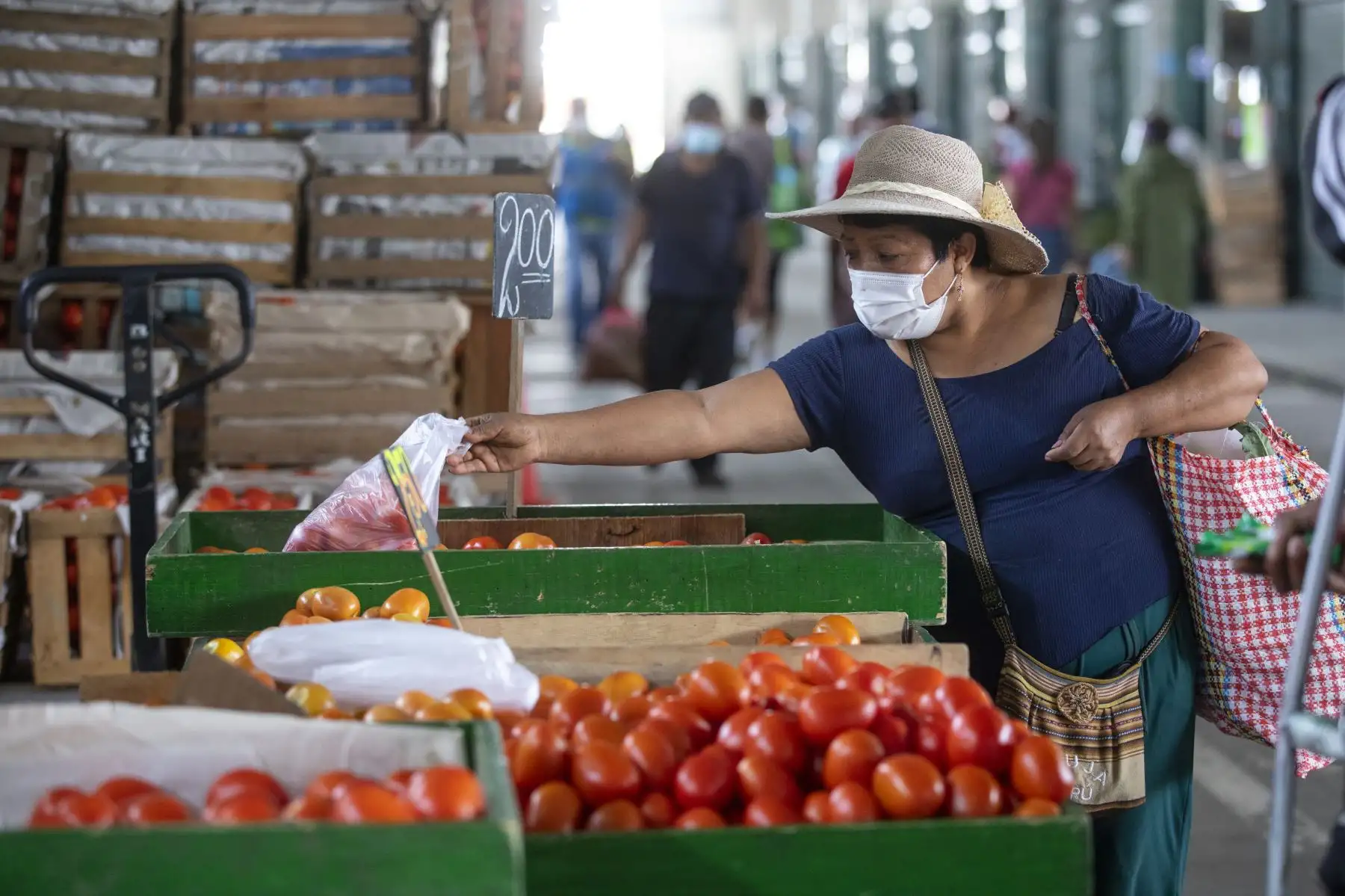 Abastecimiento de diversos productos como la papa, zapallo, tomate, ajíes y cebolla etc, esta garantizado  en el Gran Mercado Mayorista de Lima que promueve la Municipalidad de Lima.
Foto: Municipalidad de Lima