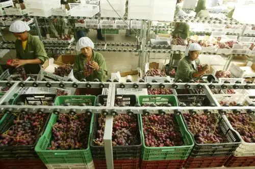 Exportaciones.