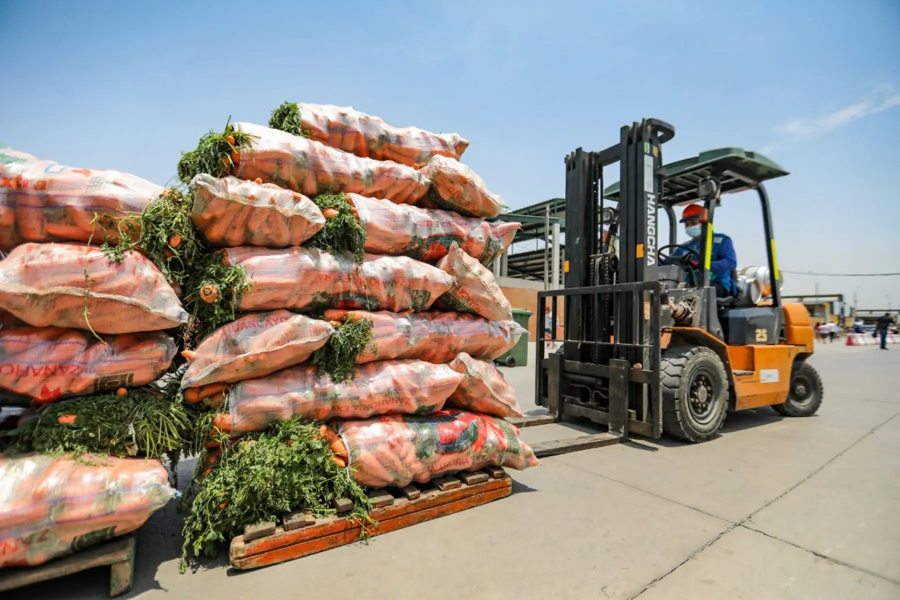 Con el apoyo de la Empresa Municipal de Mercados S.A.,  la Municipalidad de Lima llevó a cabo la Ollatón, mediante la cual donó 25 toneladas de alimentos, como hortalizas, verduras, tubérculos y frutas, a 63 ollas comunes de la ciudad
Foto: Municipalidad de Lima