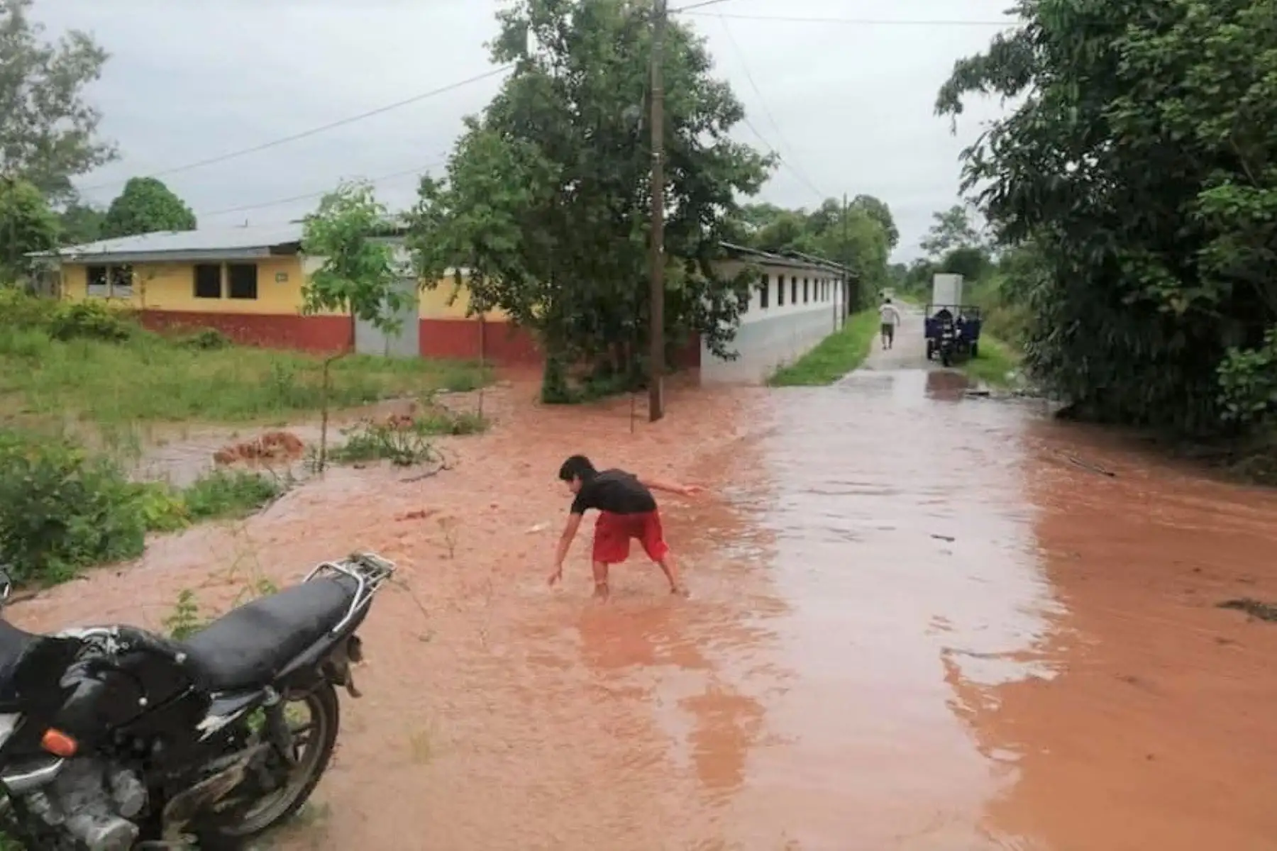 ANDINA/Difusión