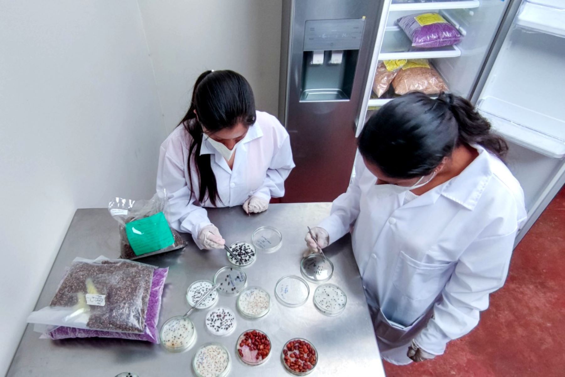 El laboratorio de semillas permitirá capacitar a los estudiantes universitarios de Cajamarca y de otras ciudades del país. Foto: ANDINA/Cortesía Eduard Lozano